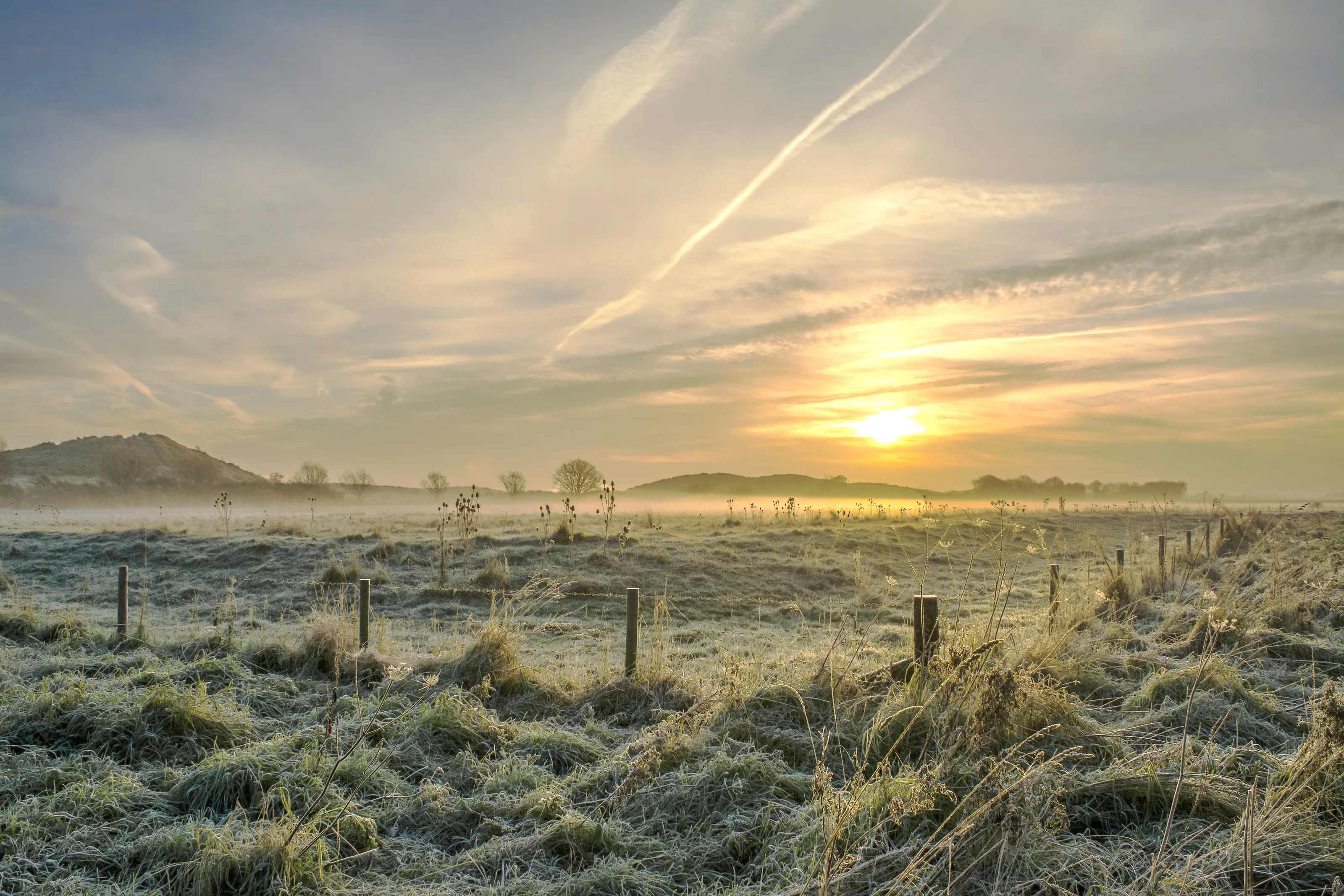 Winter Sunrise