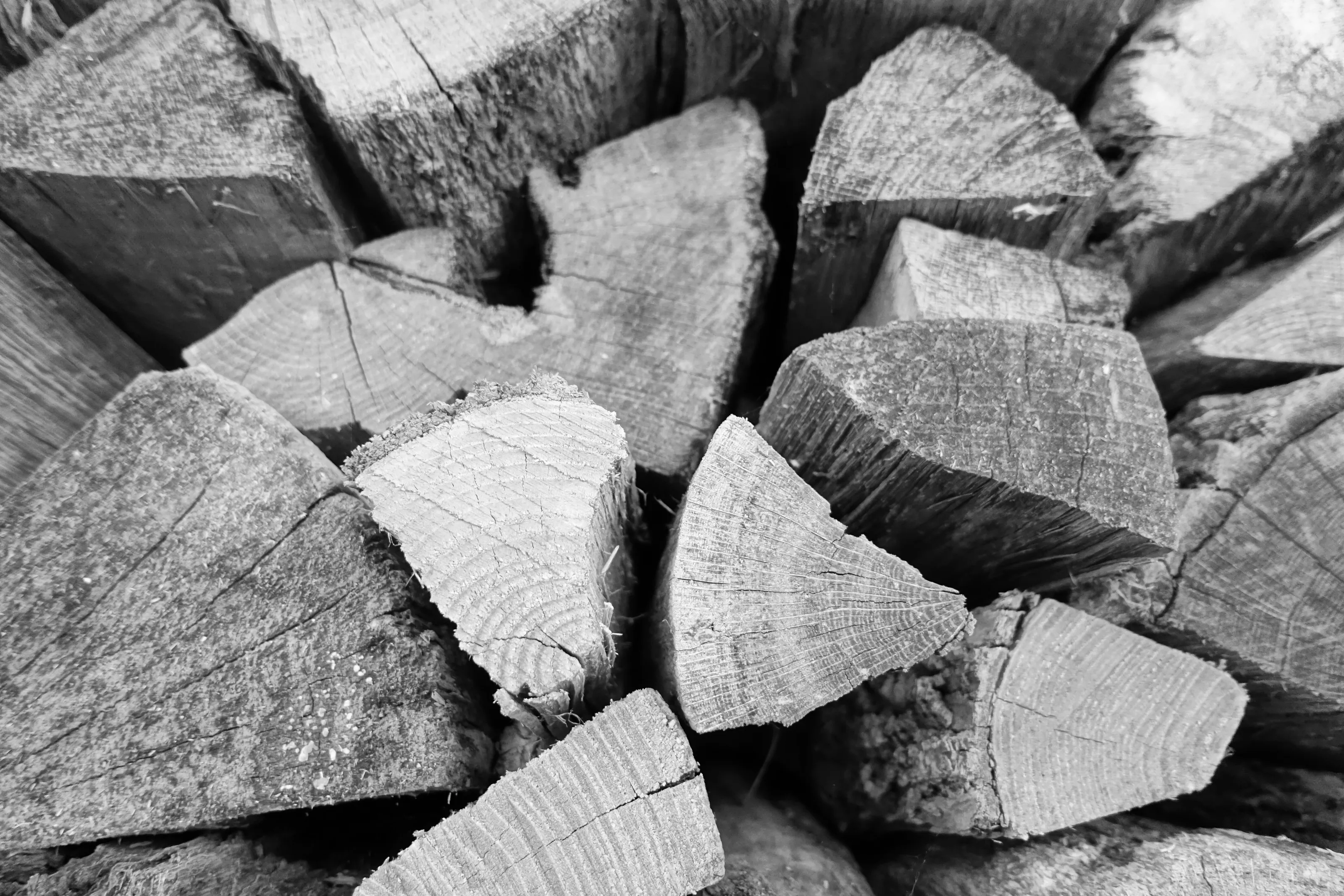 Wisconsin Wood