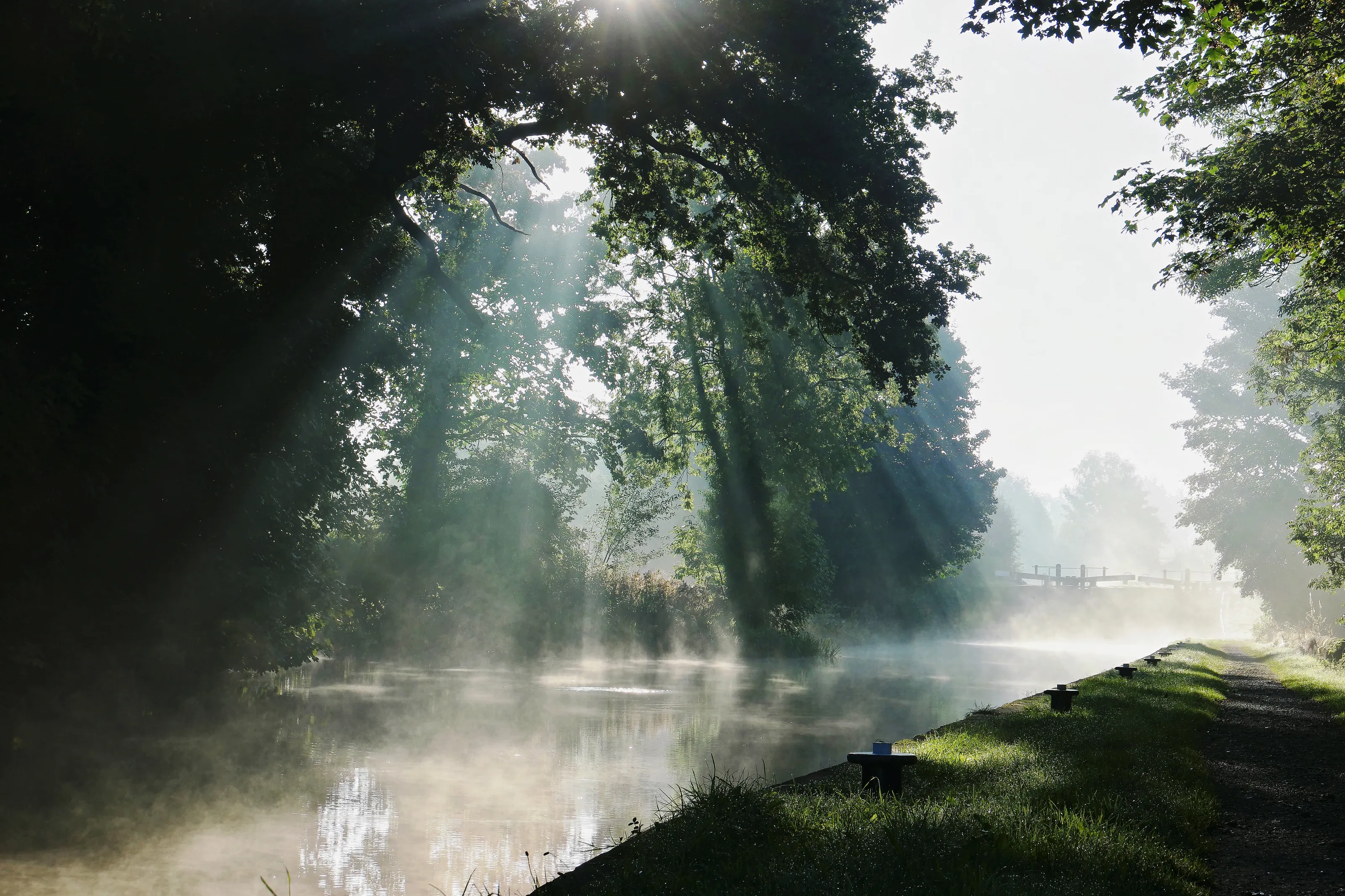 Misty Morning on the Trent & Mersey Canal