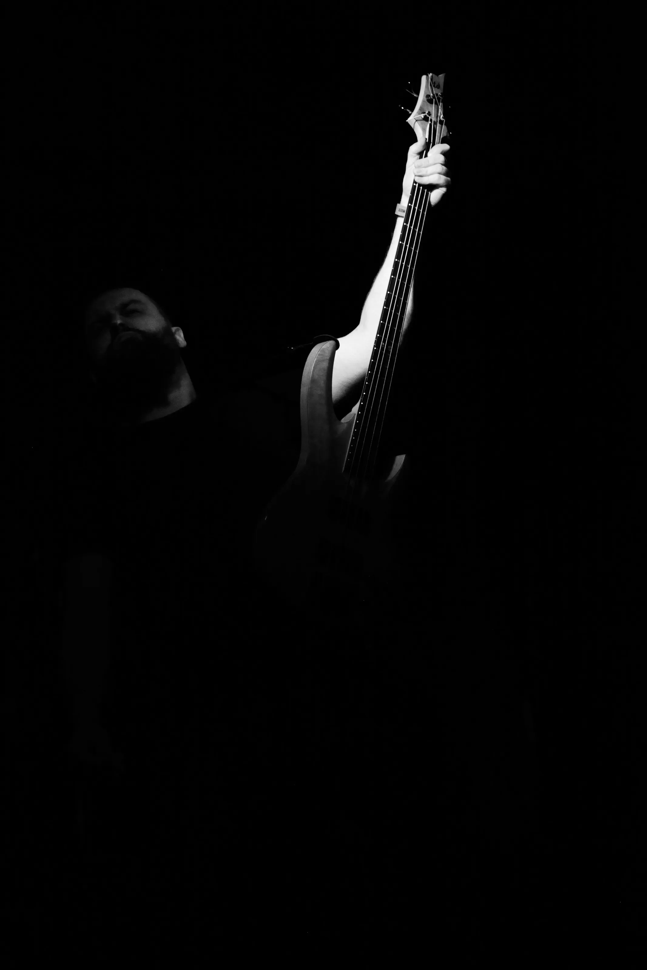 Spotlight