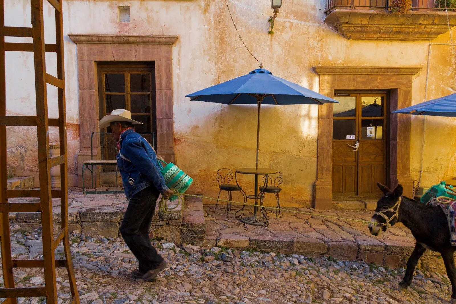Man pulling his donkey