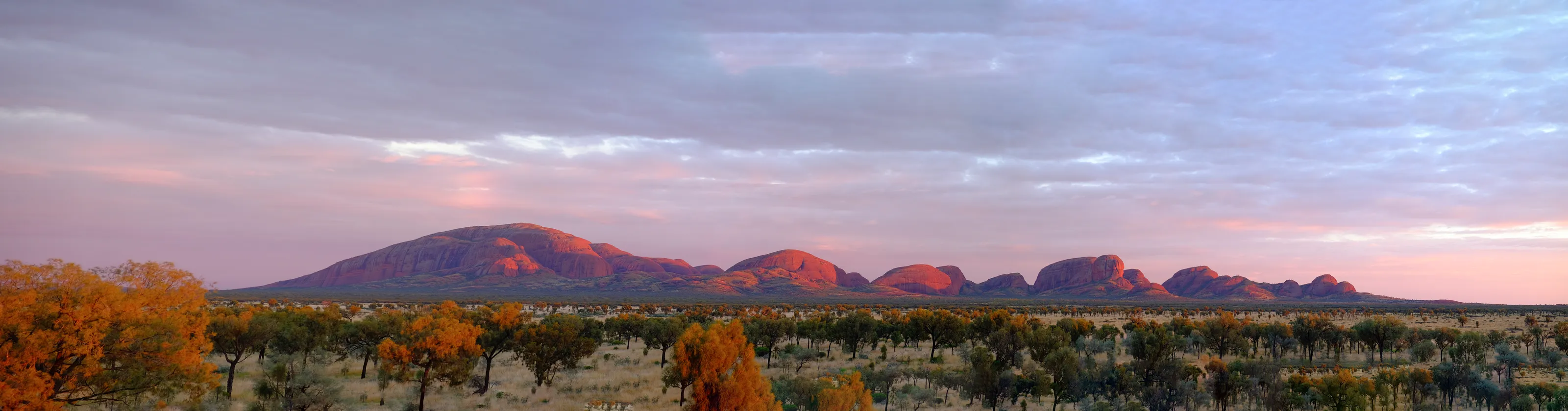 The Olgas