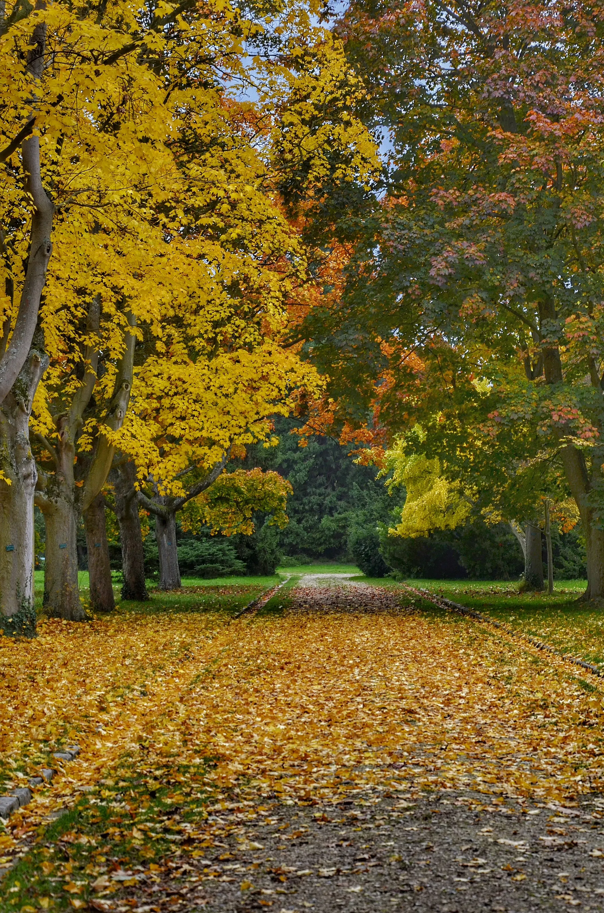 The colors of the fall