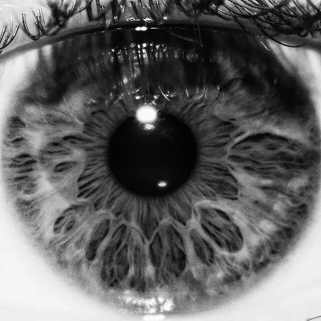 Introspection - A self discovery.