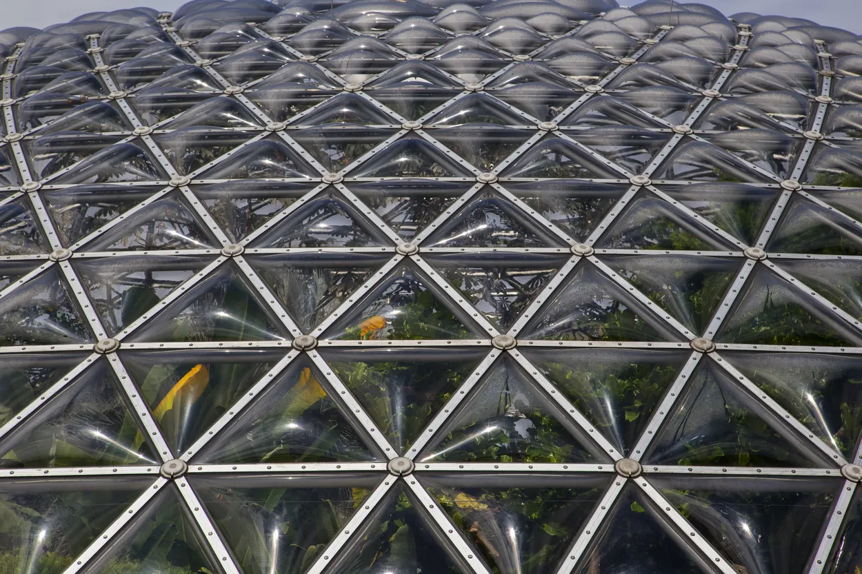 Entry 2516467