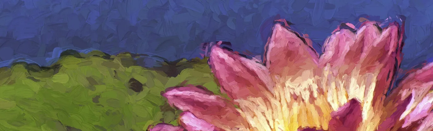 Banner image