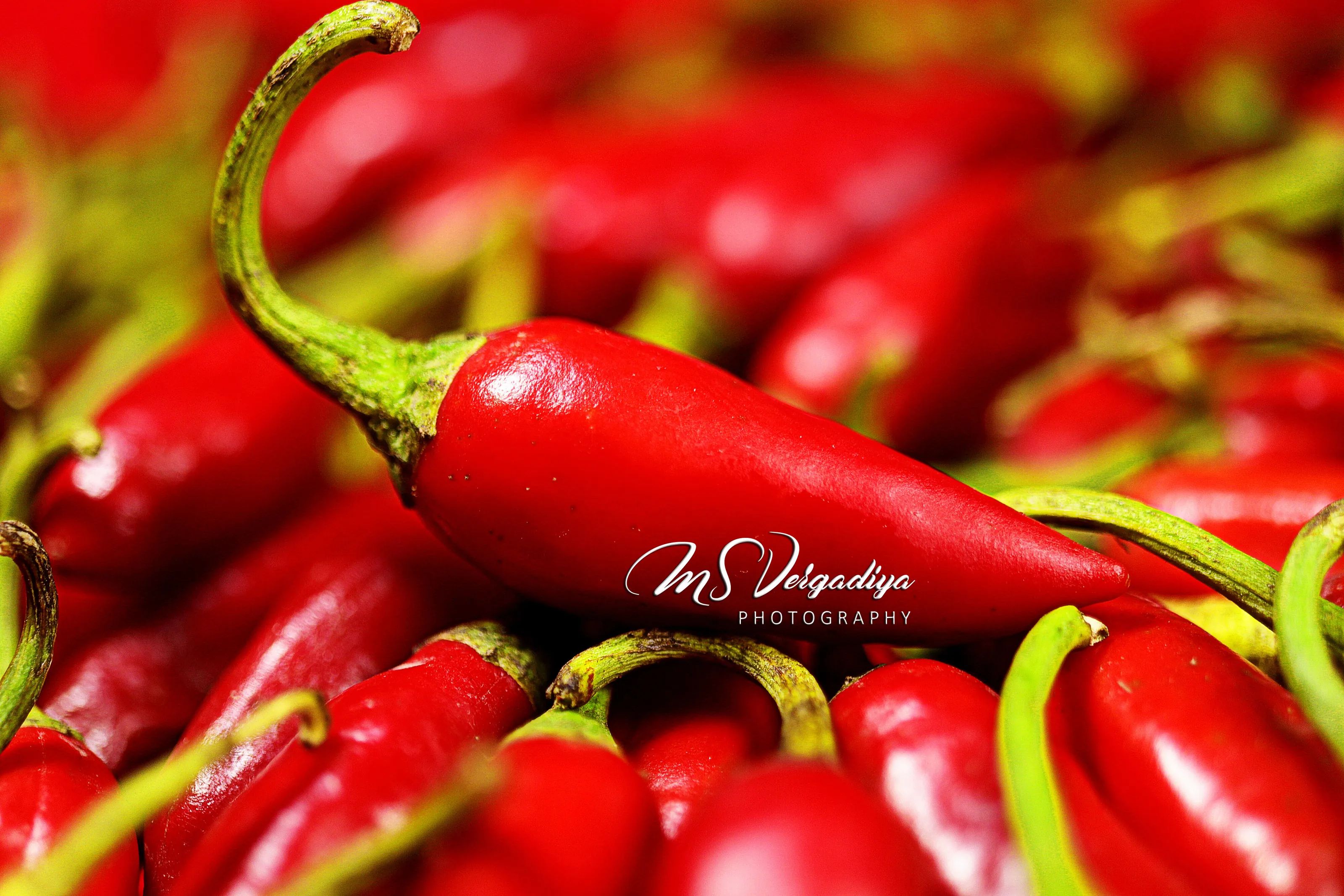 red chilli