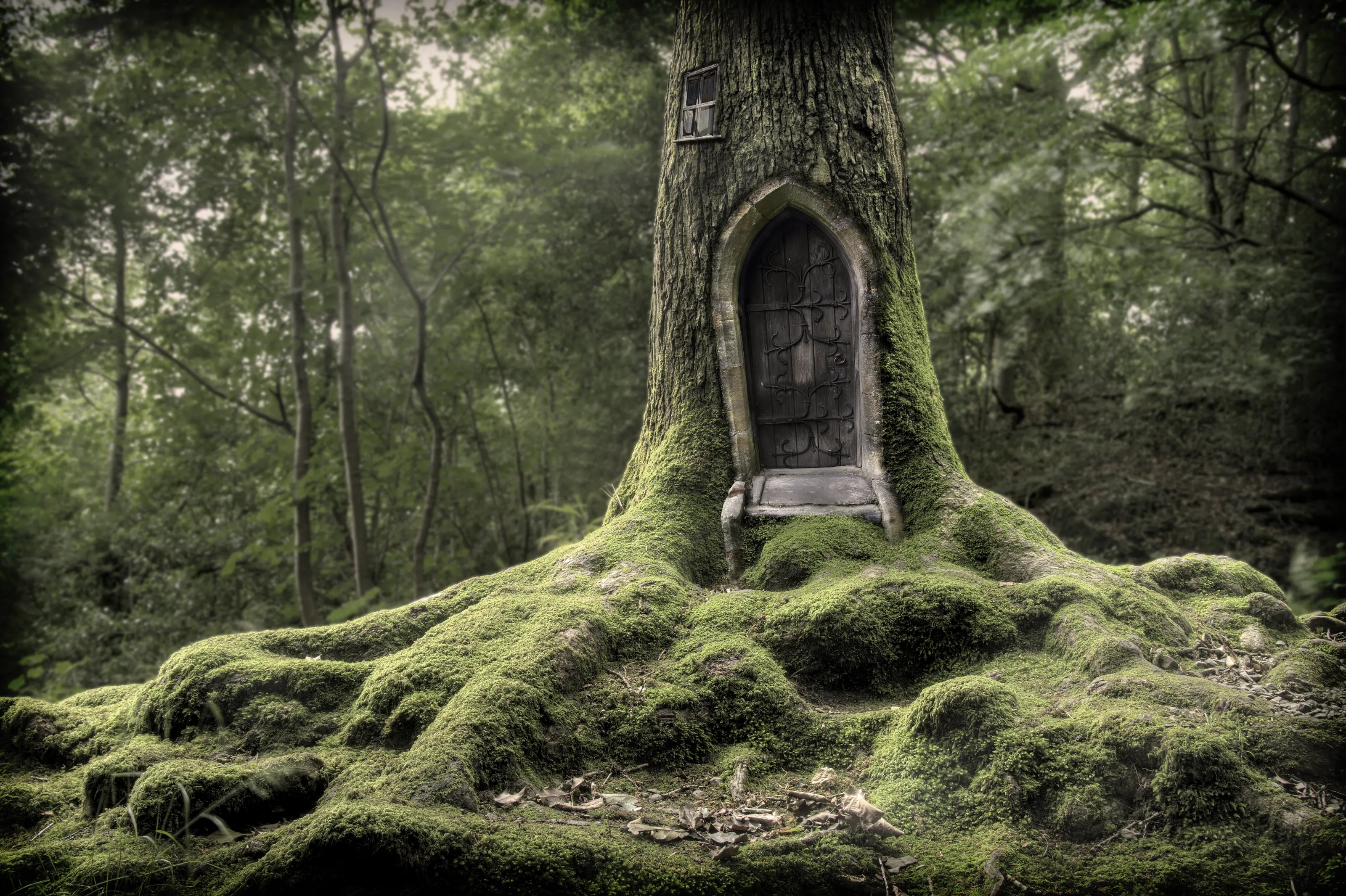 The Goblin's house