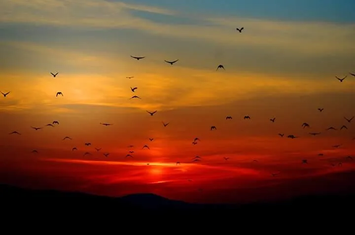 Colors of the skies!