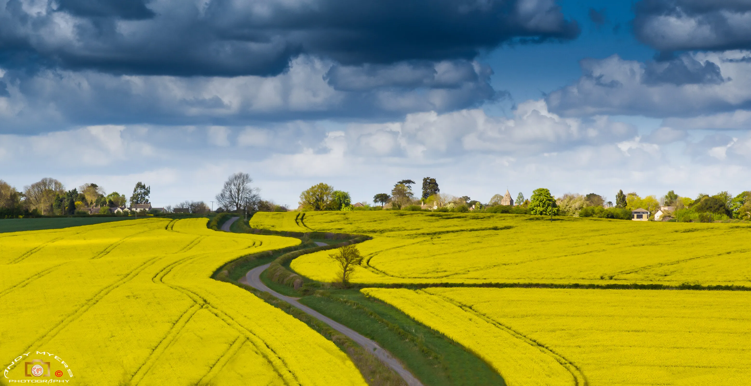 The Rapeseed Road