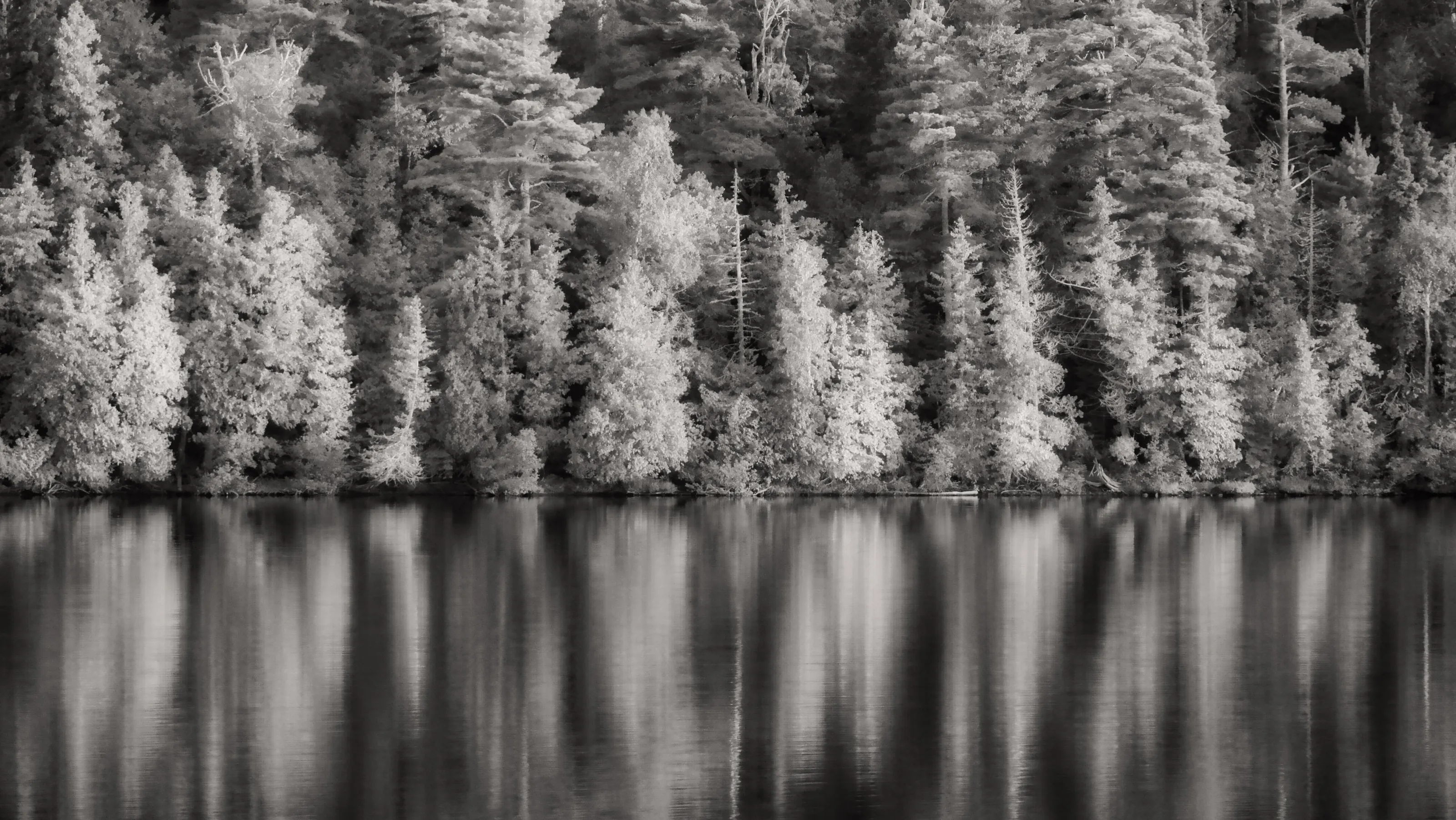 Reflections