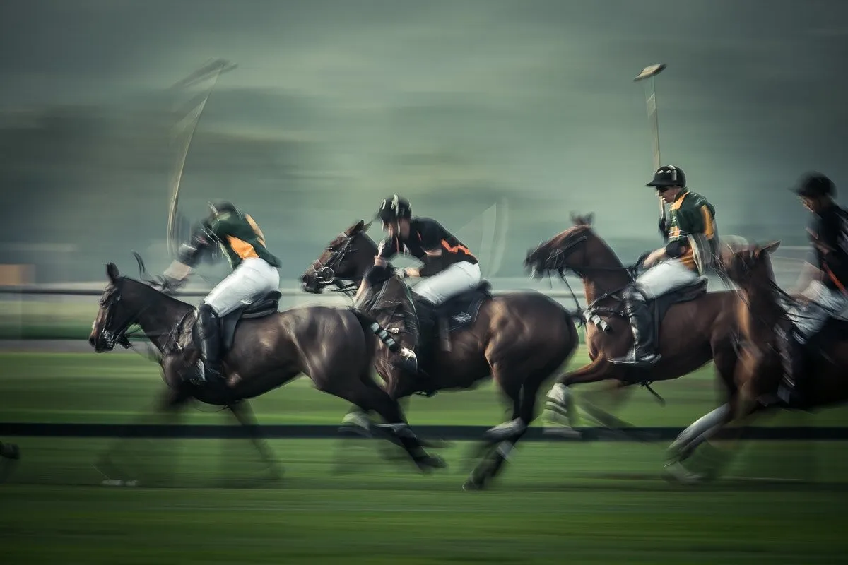 Polo blur