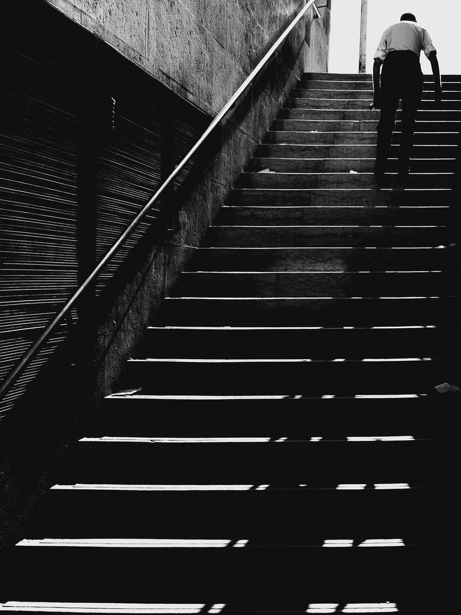 Entry 2537563