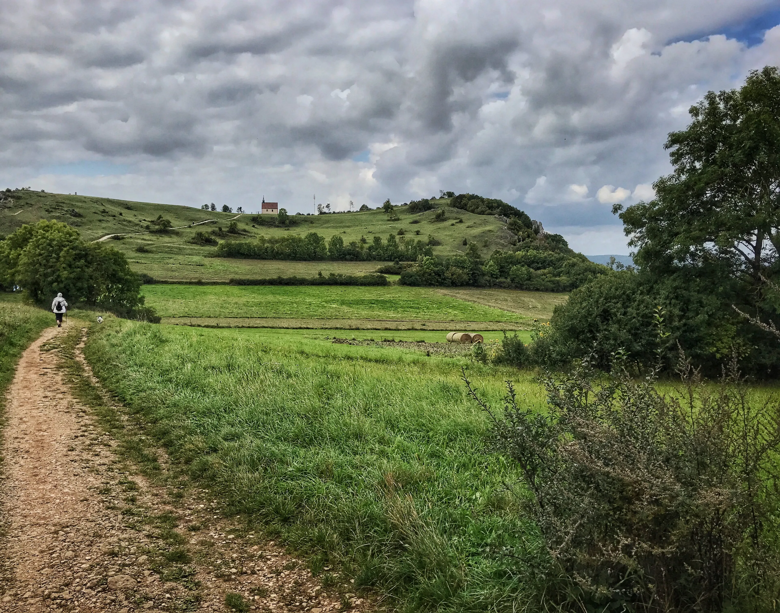 Long walk to peace