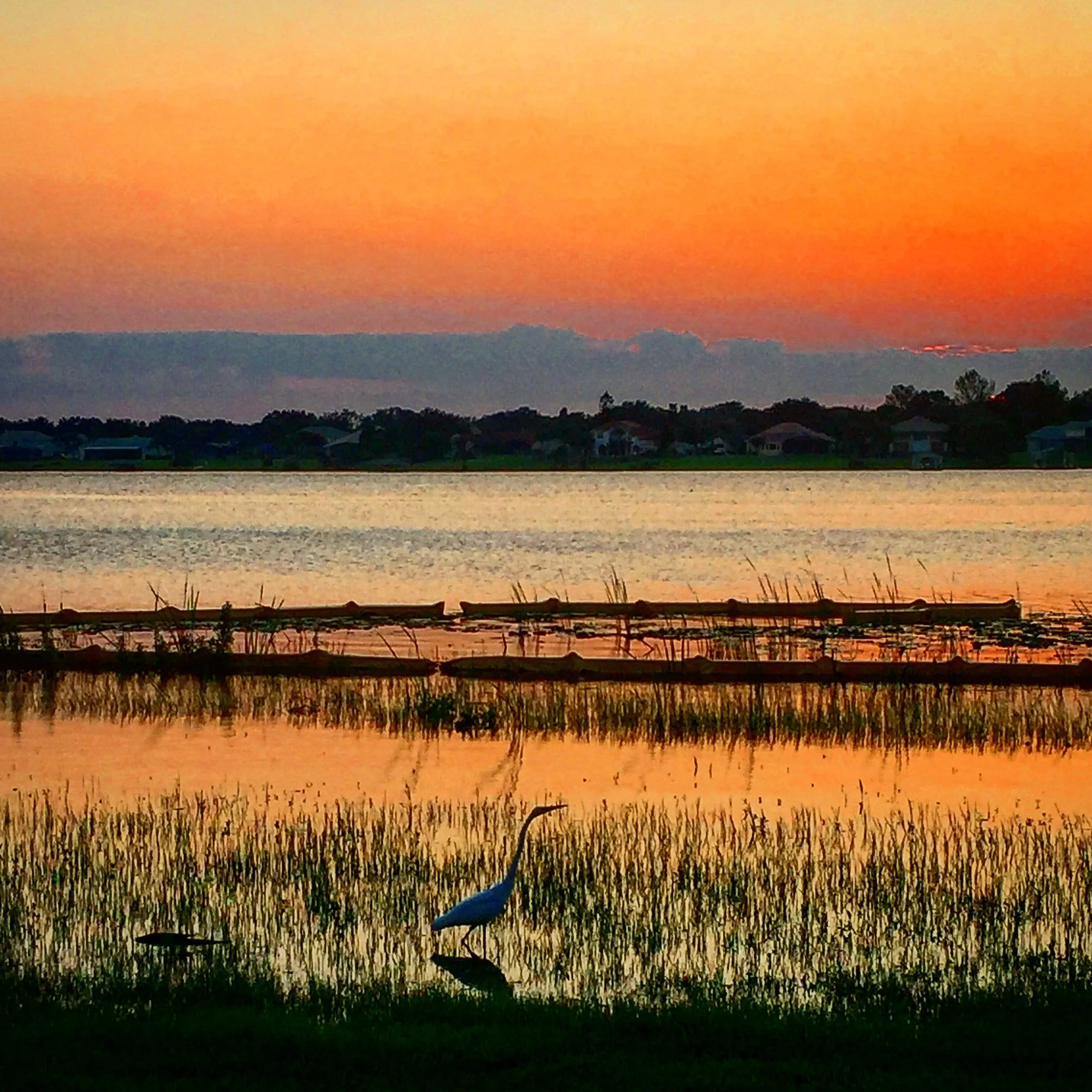 Floridian Sunsets