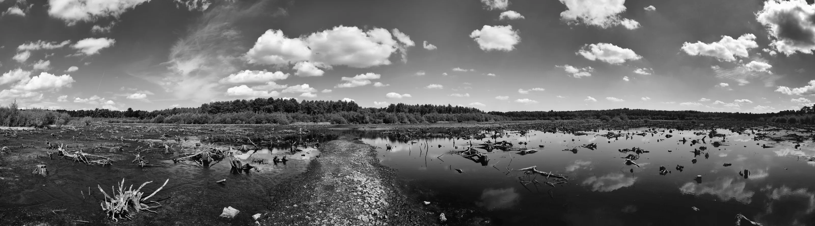 Blakemere