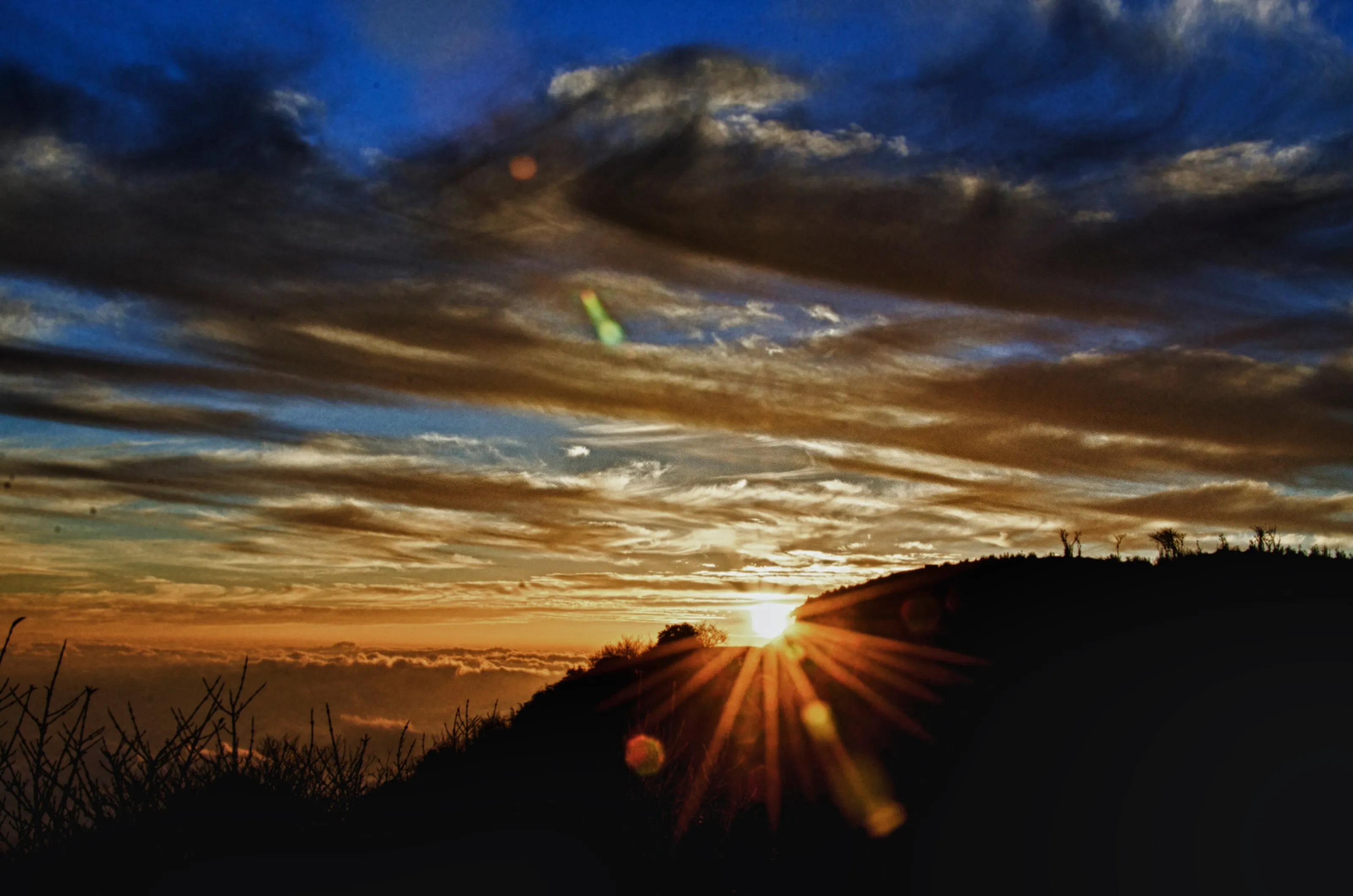Twilight