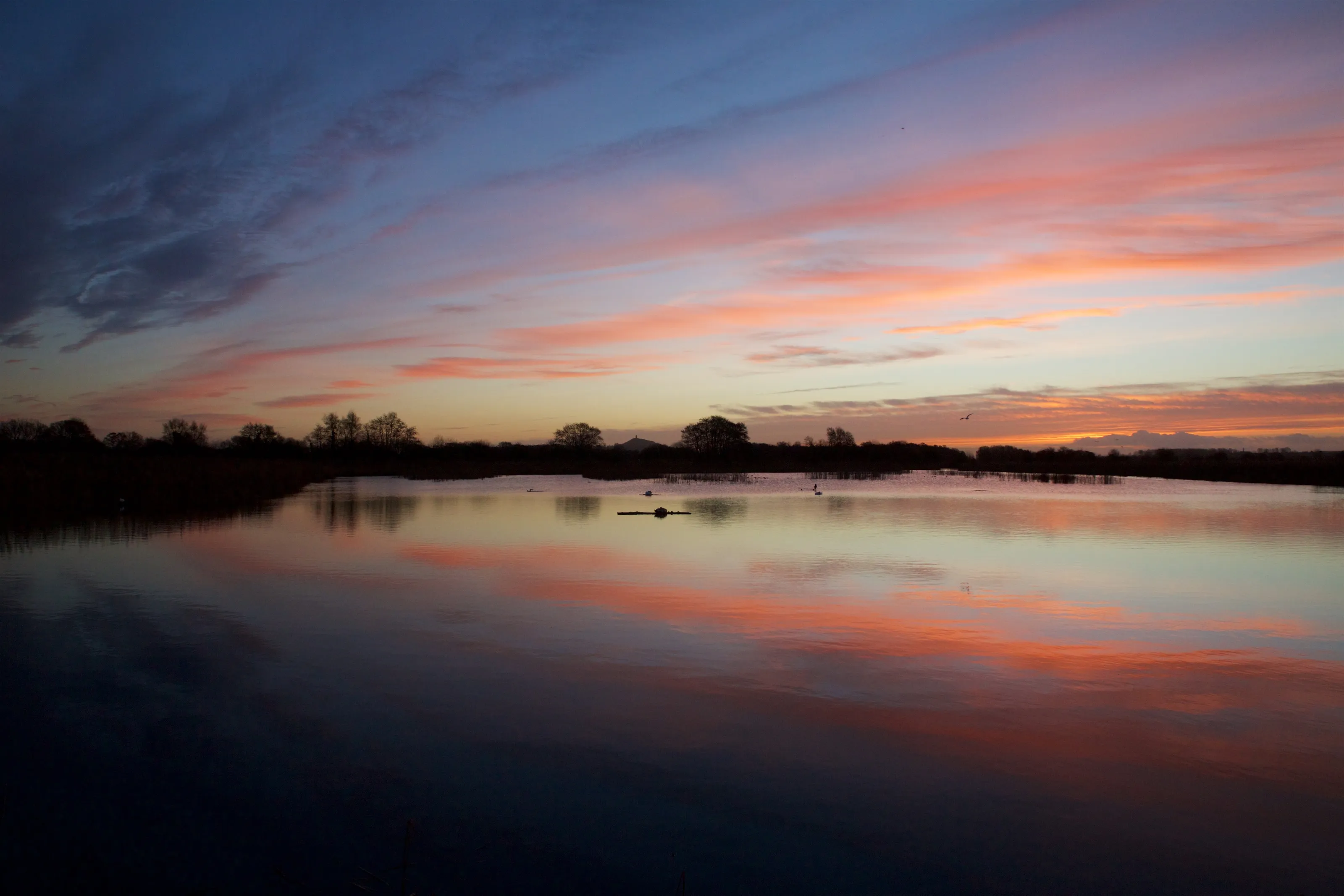 Sunrise on the Somerset Levels