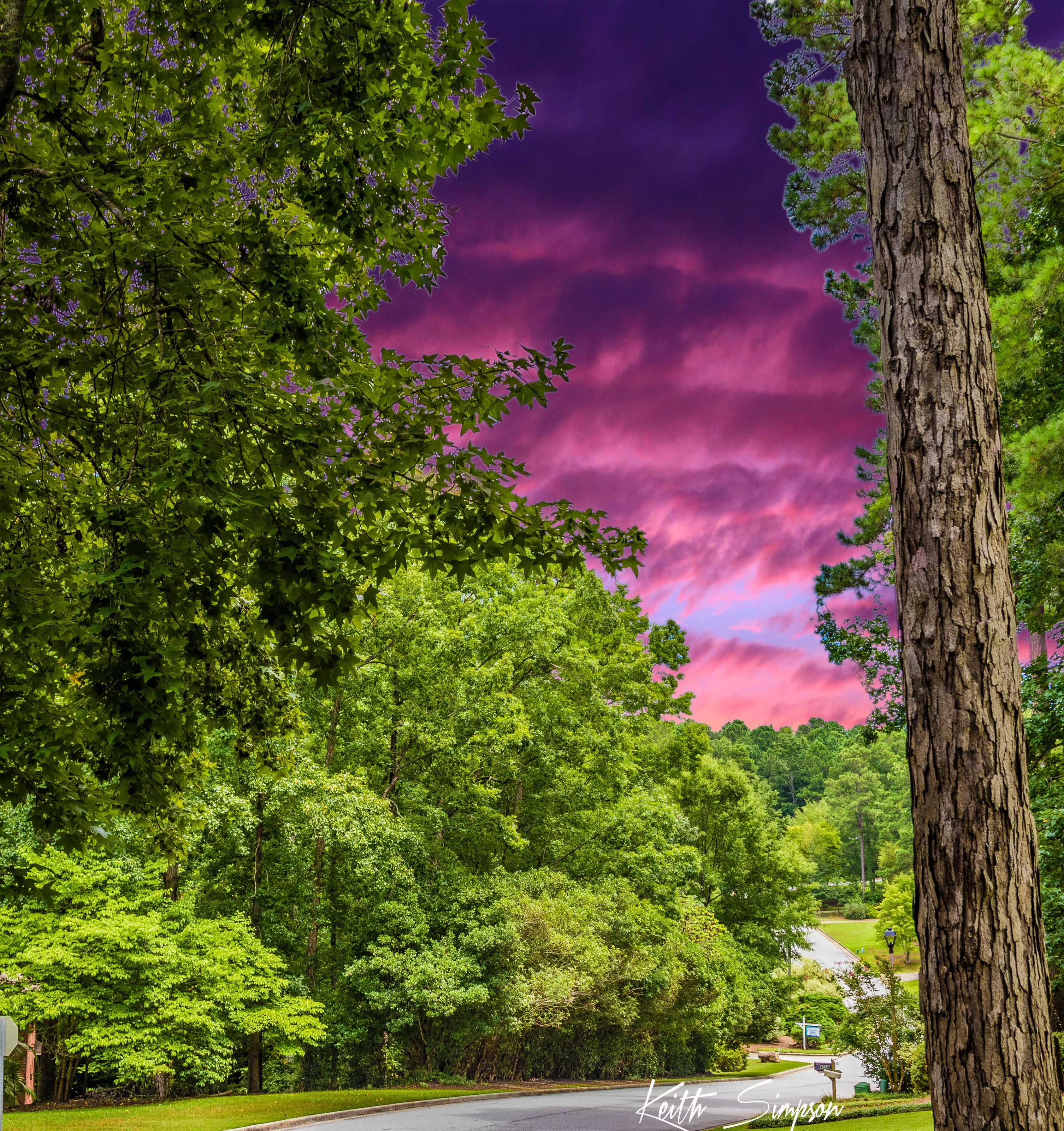 Georgia days