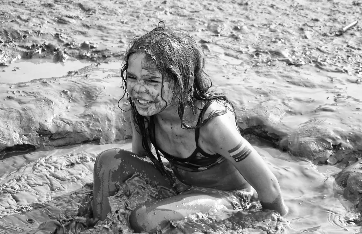Entry 2559015