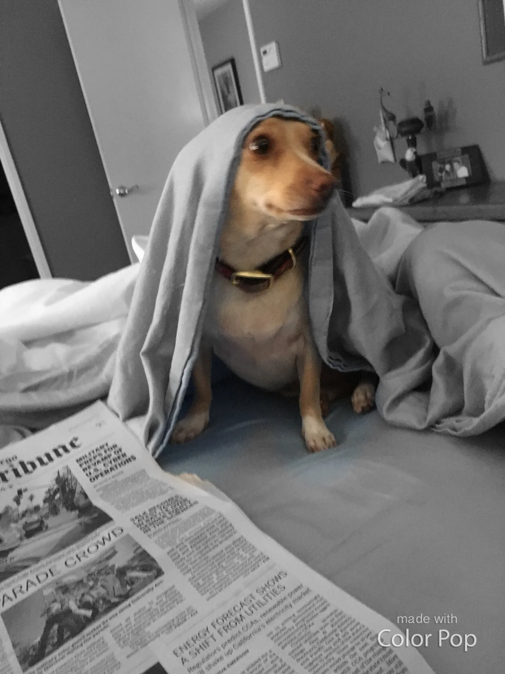 Banner image