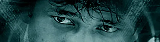 Banner image