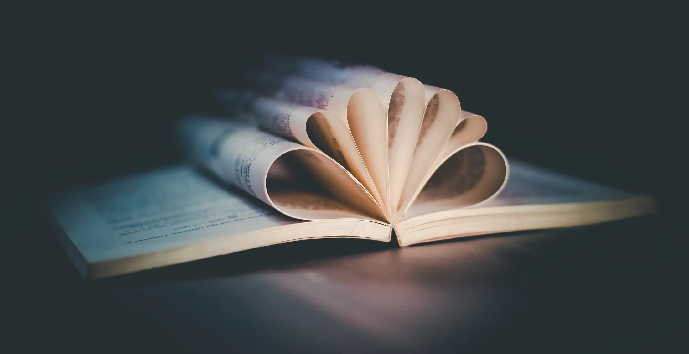 Entry 9058047