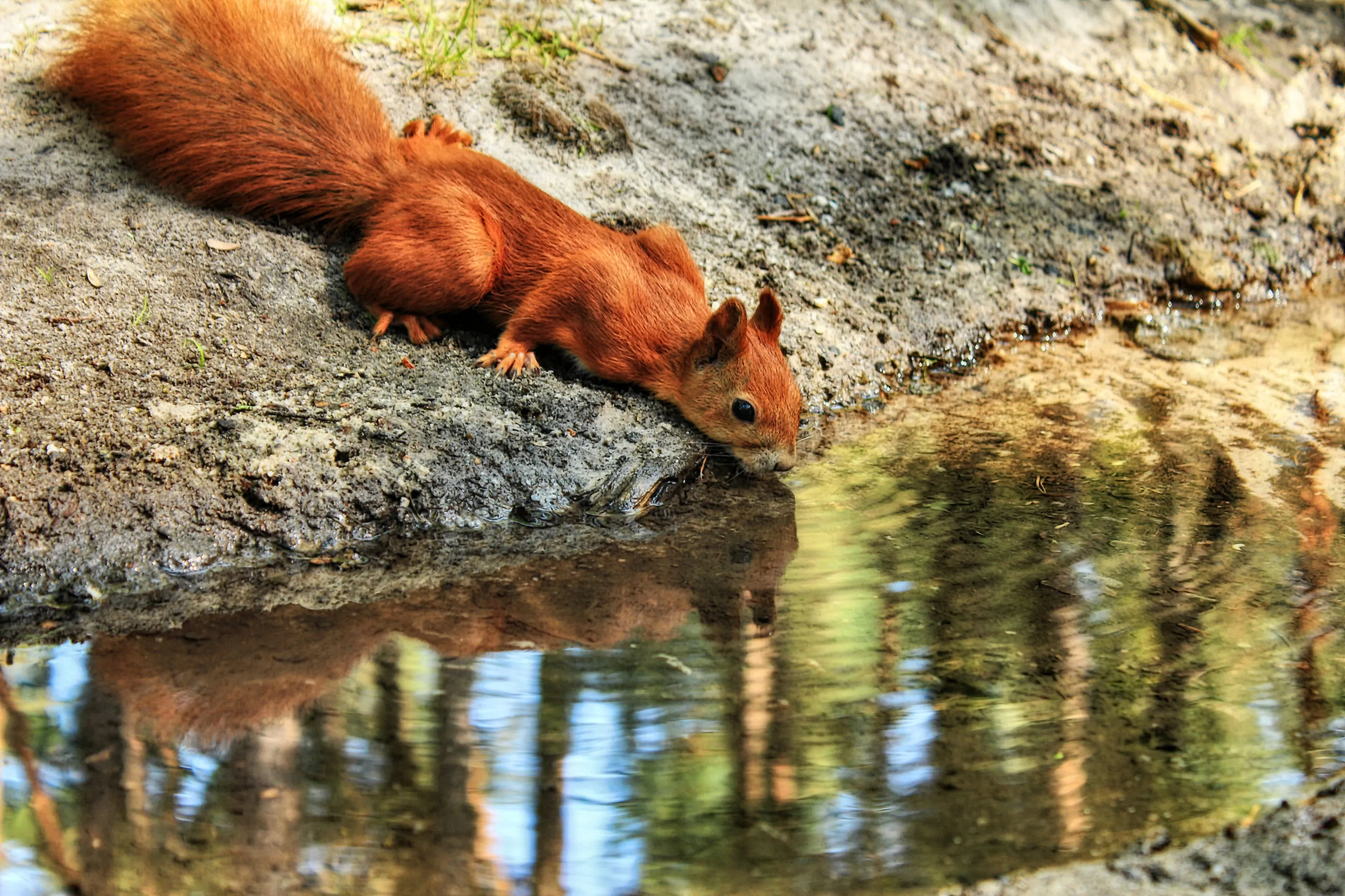 In stream