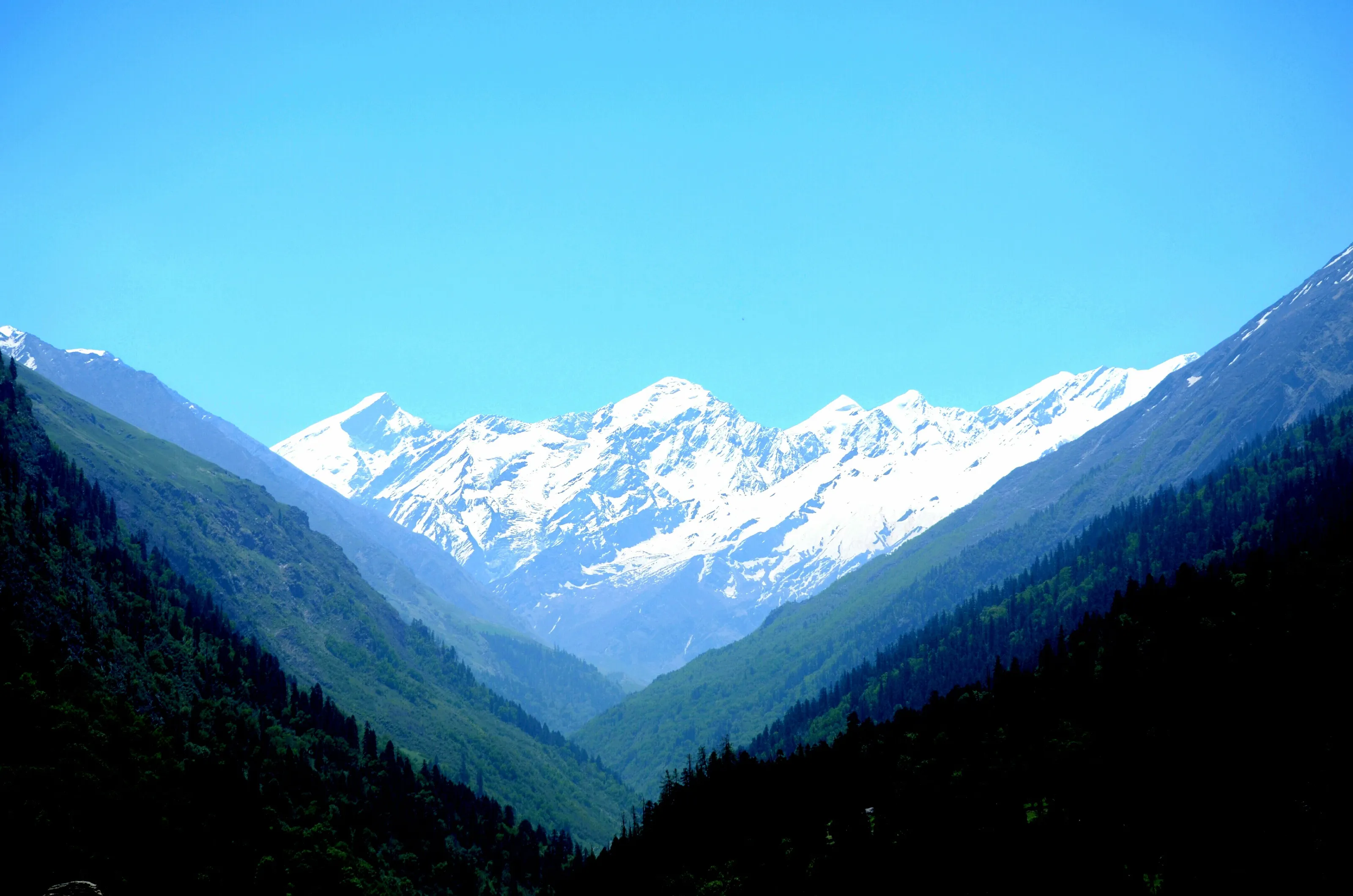 Swargarohini