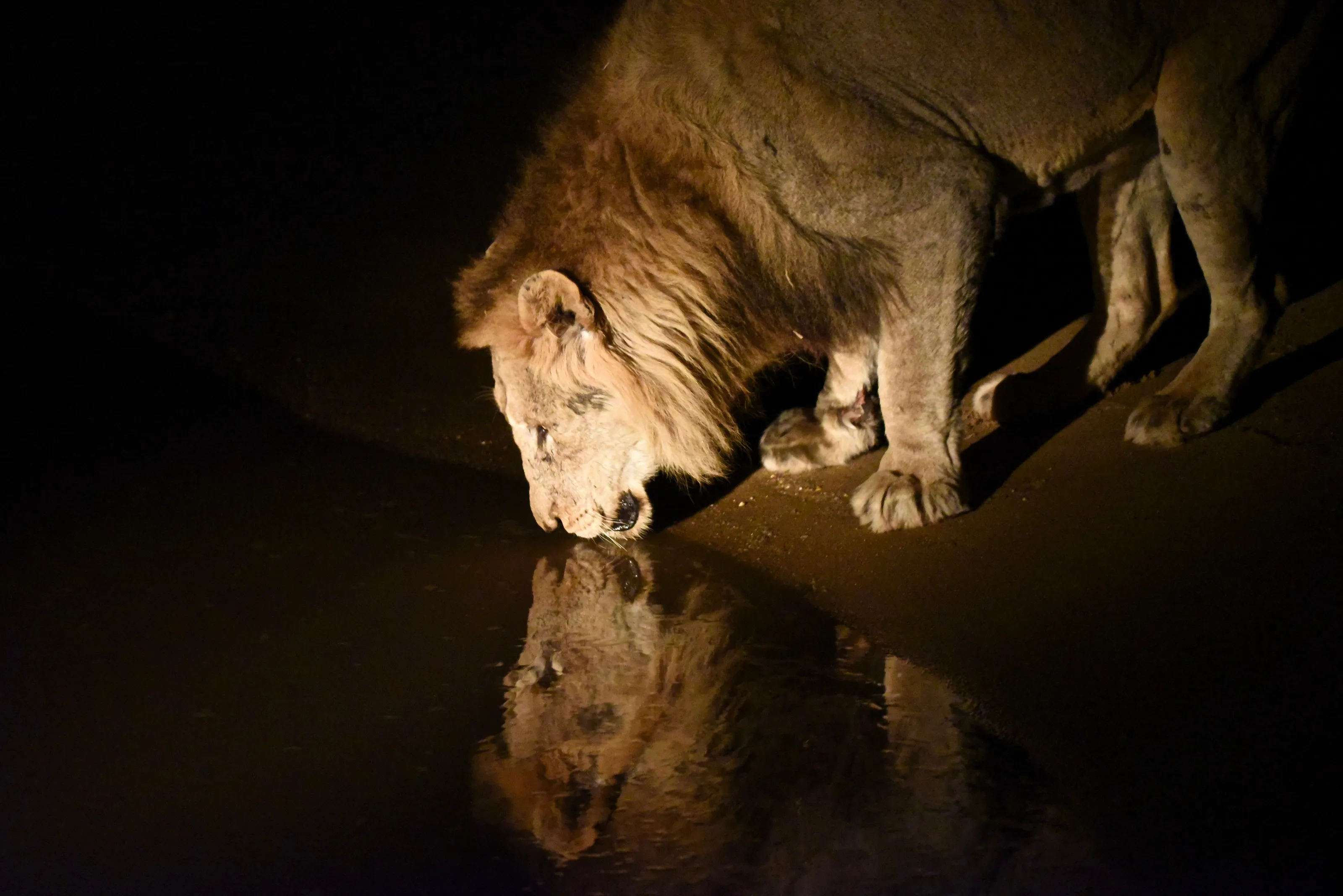 I SEE THE KING, THE KING IS I