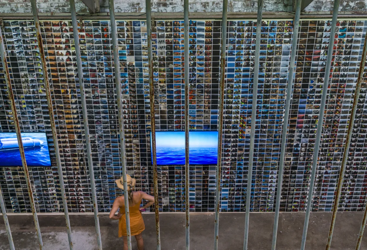 Entry 2600831