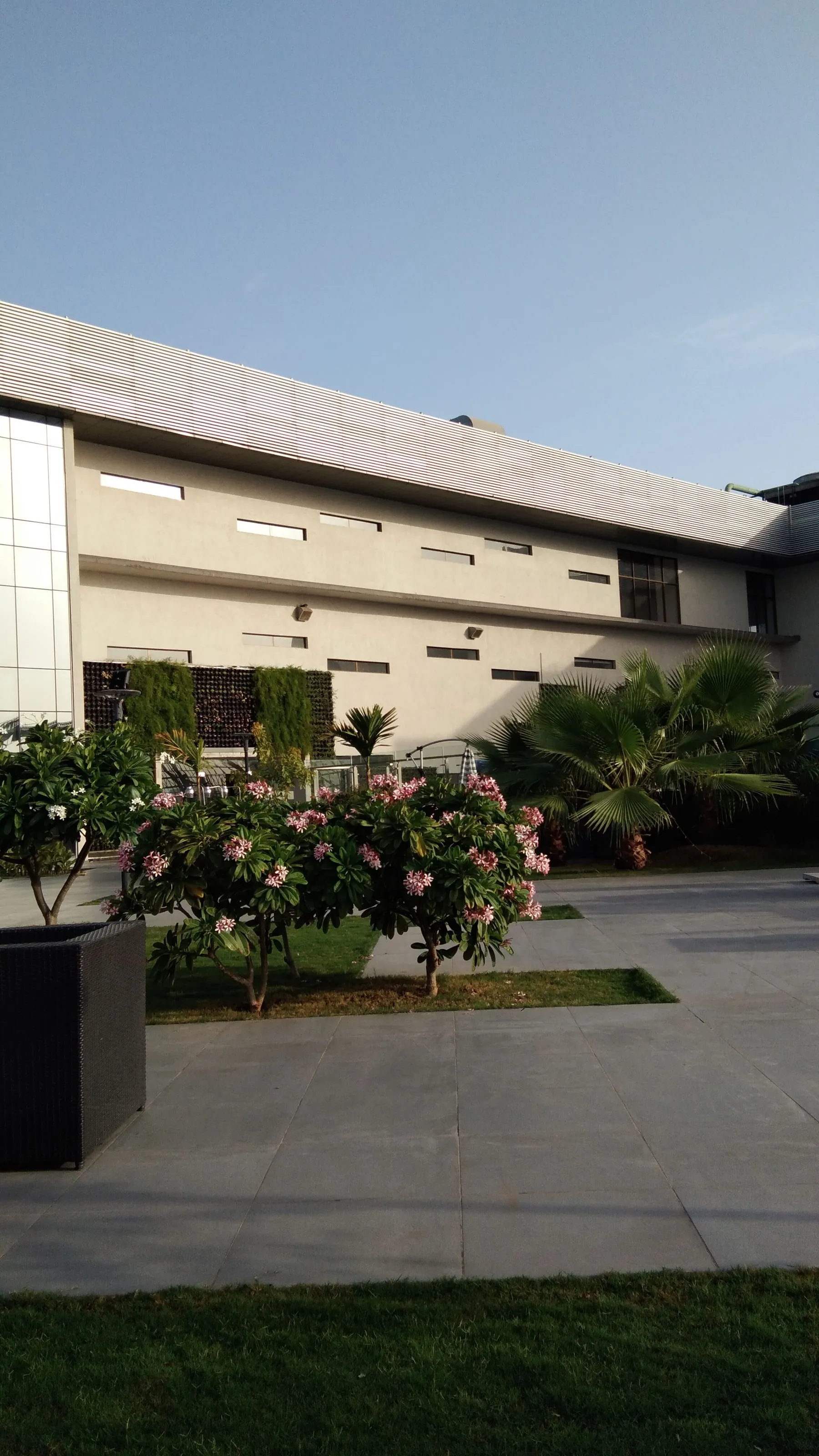 Plants in a building adds up to the beauty.