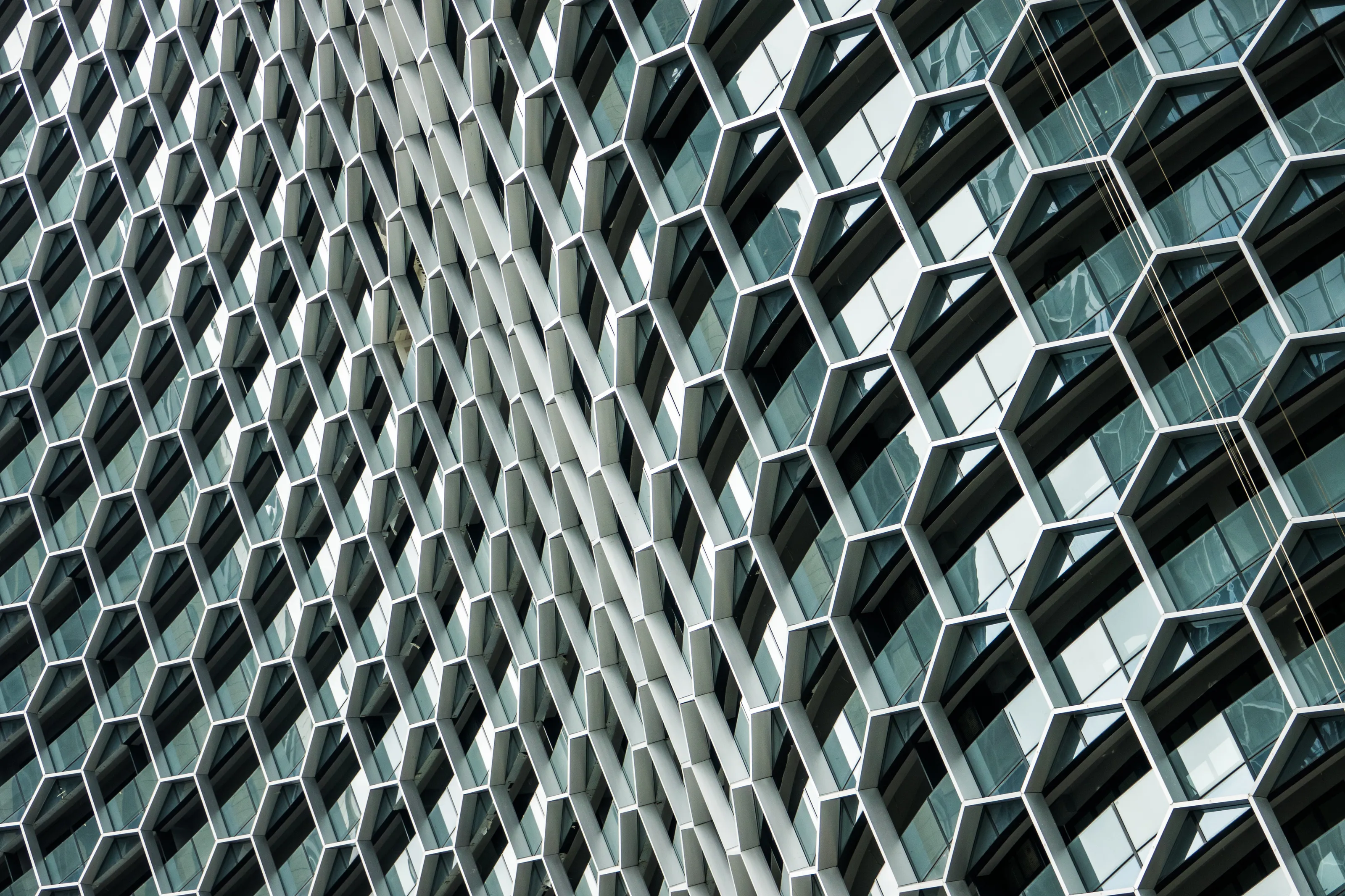 Singapore Sting