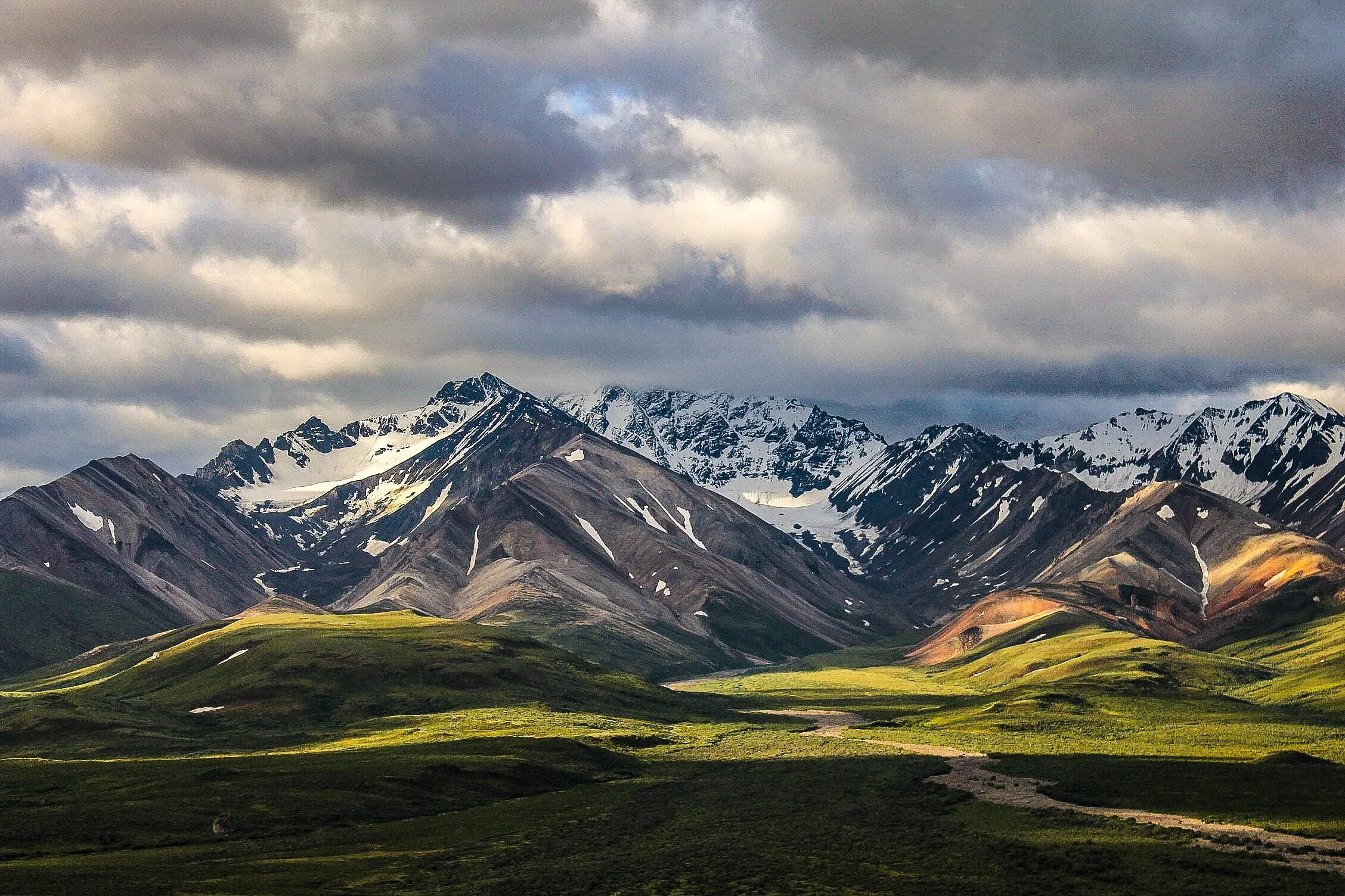 Denali National Park