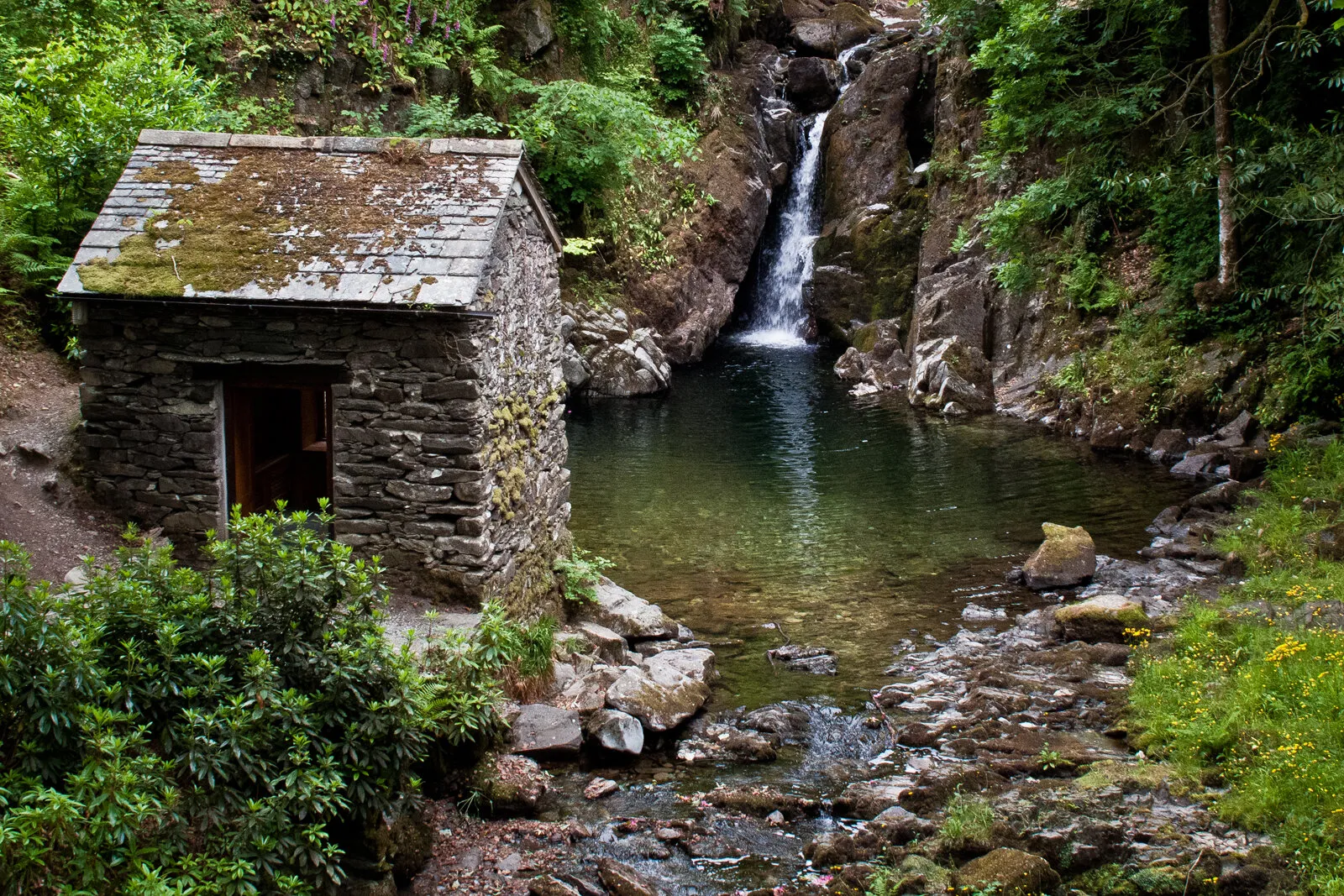 Small Pond