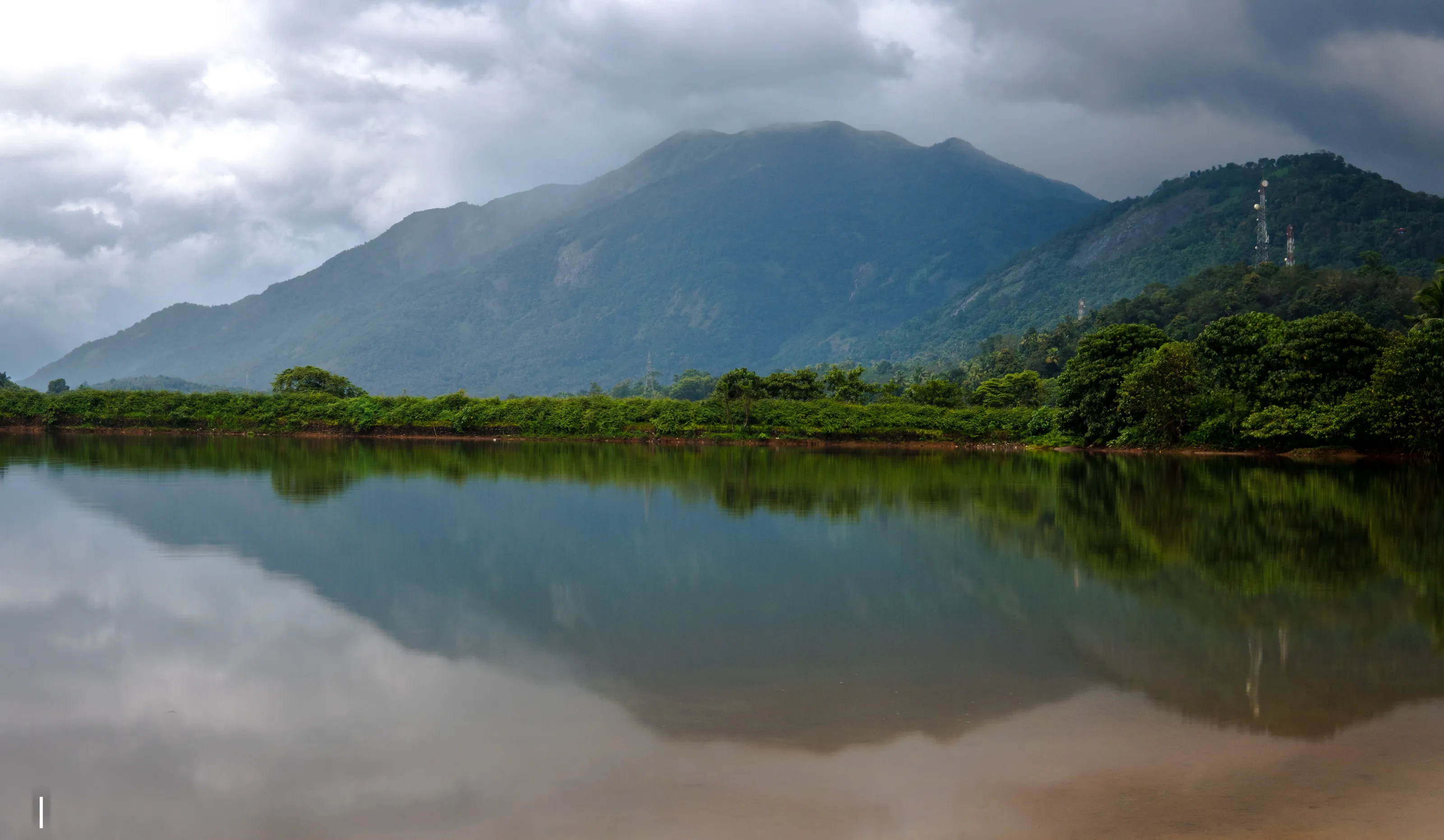 Feel the Nature