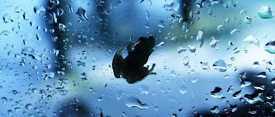 Day Rain