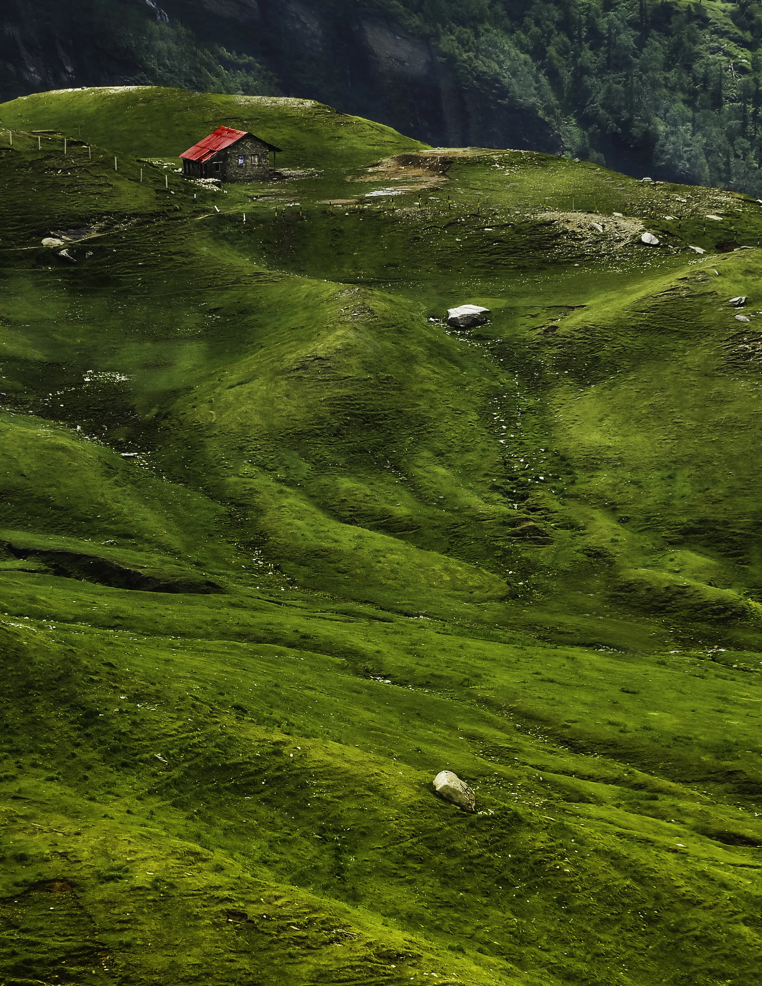 Mountain Village