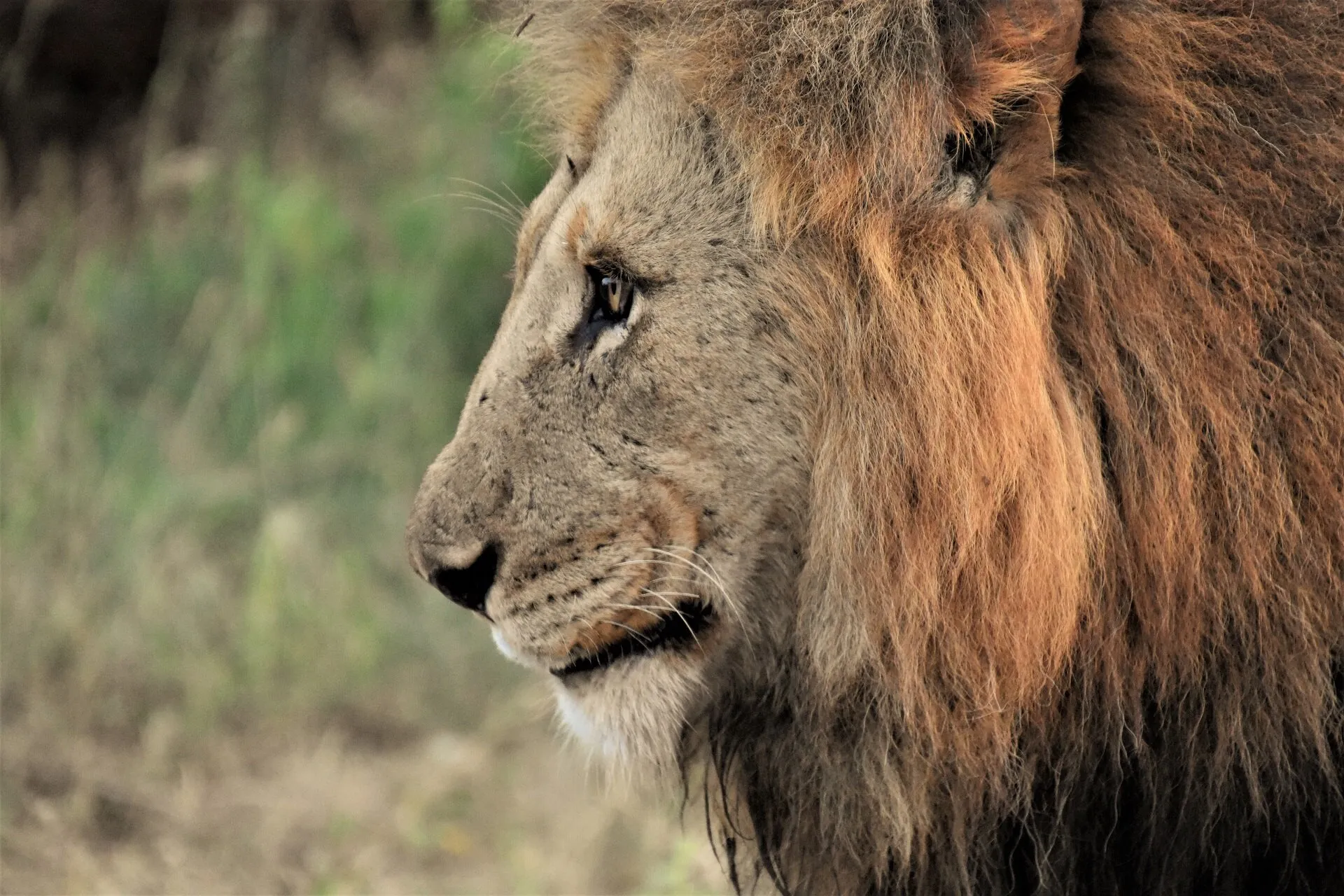 Strength and Beauty