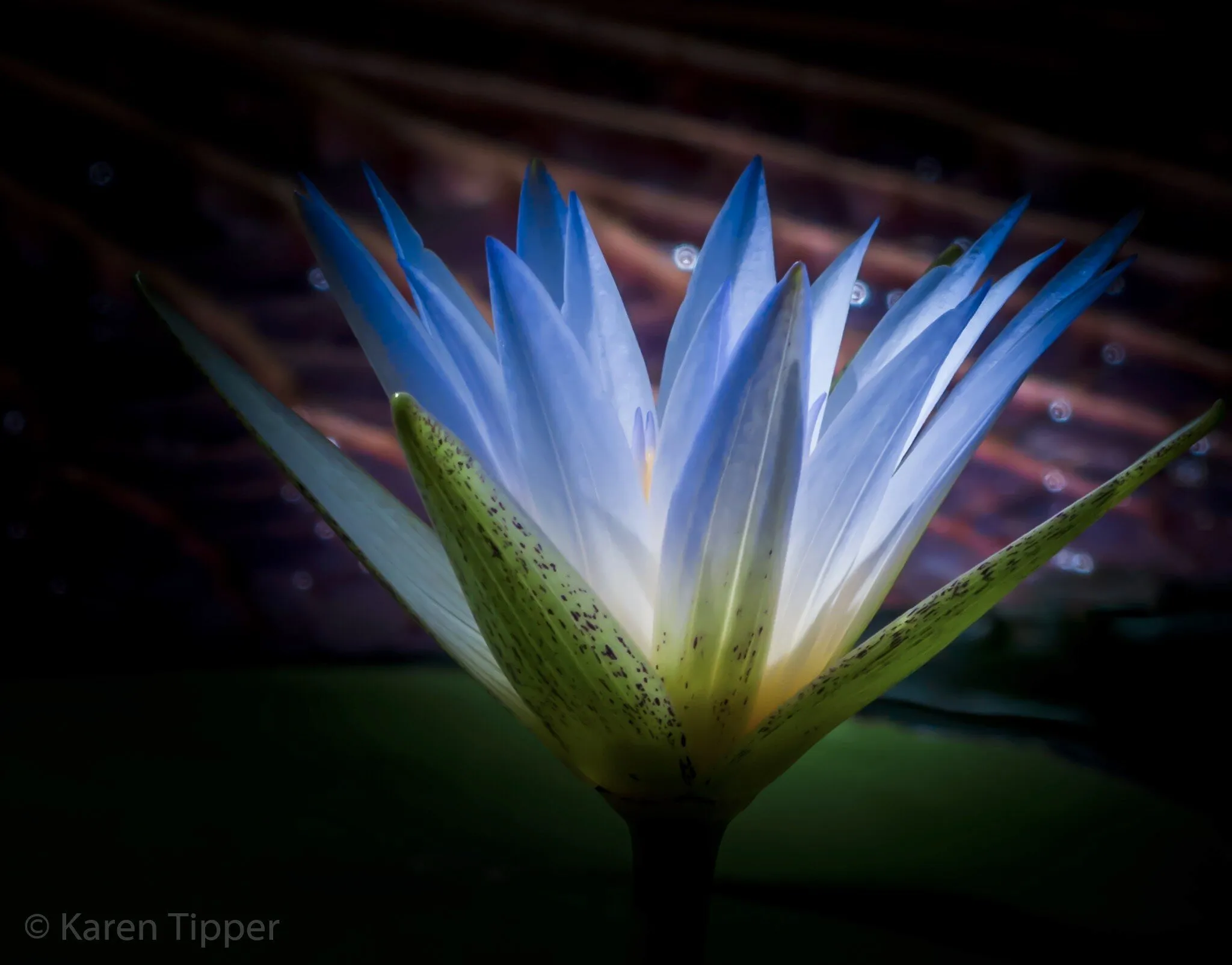 The light from within