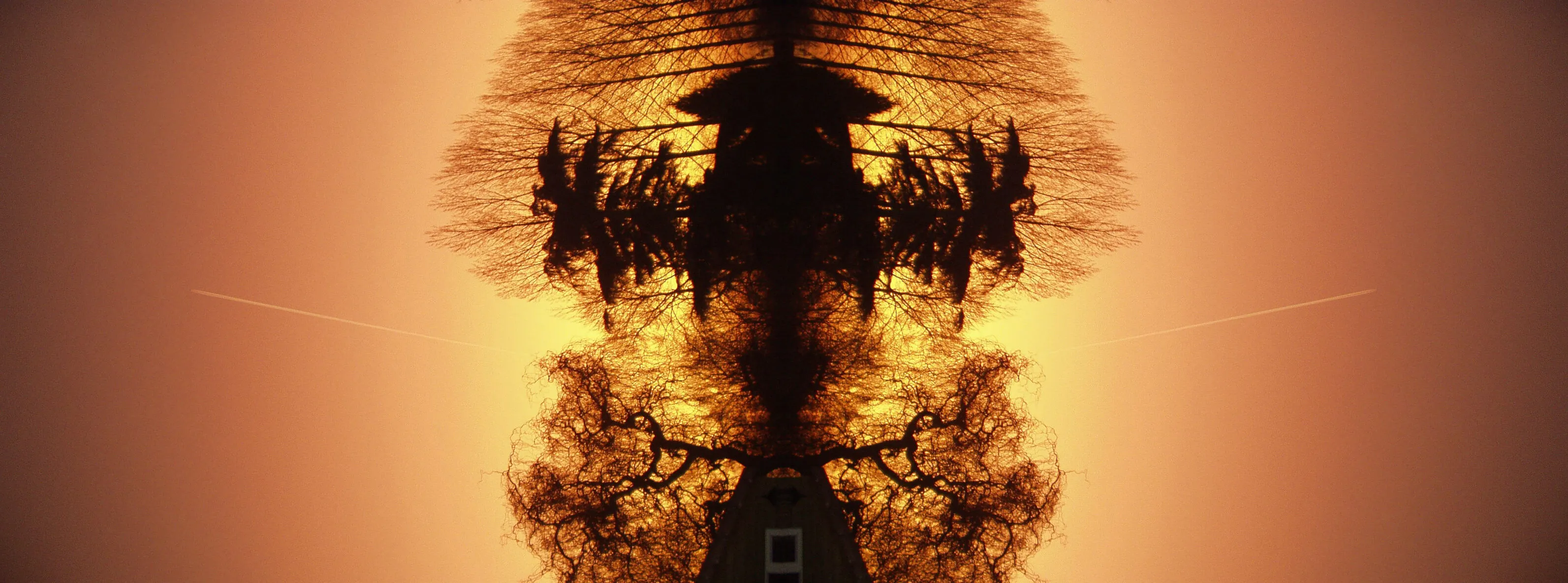 Tree Houses