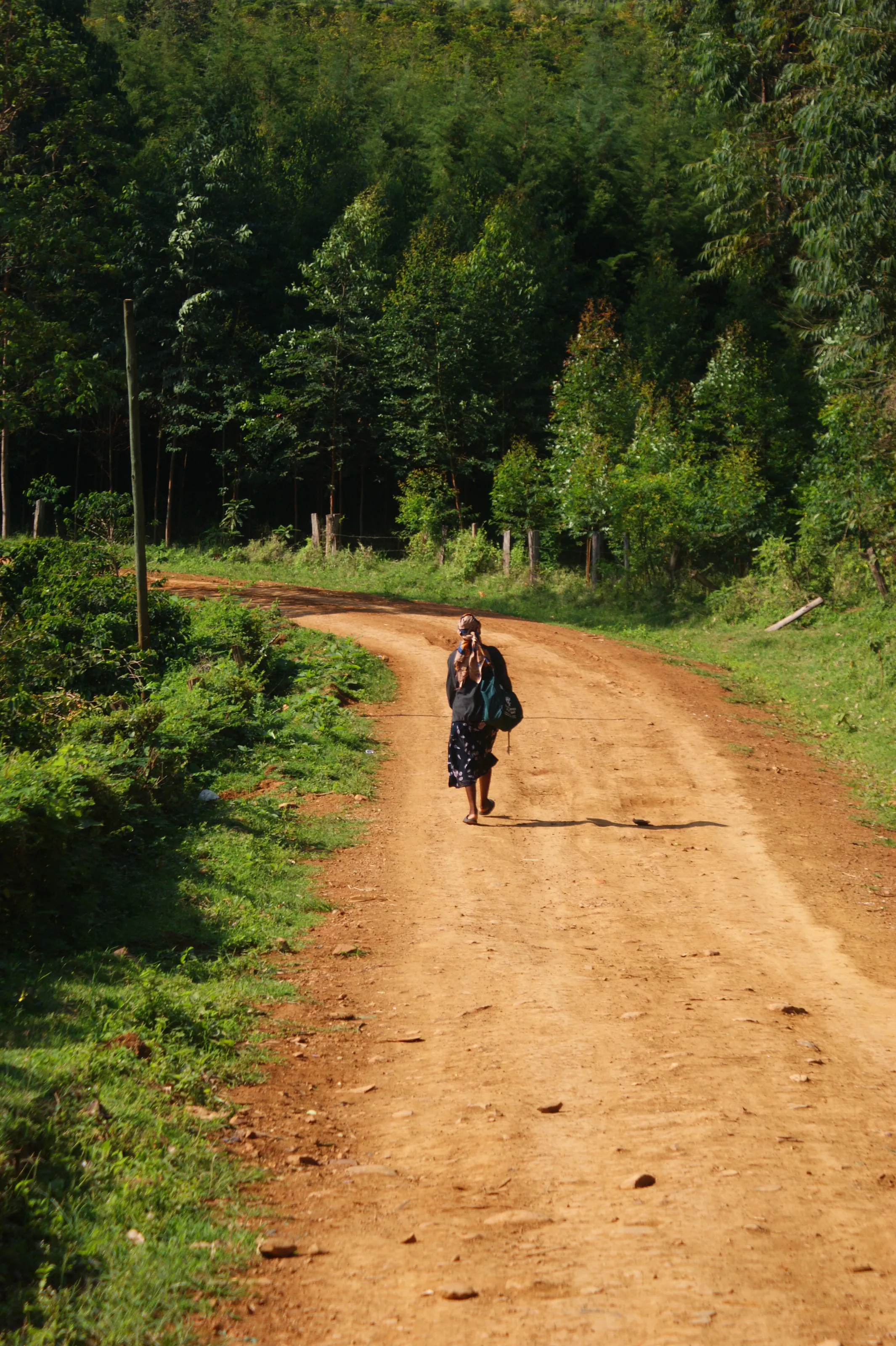 The Long Walk