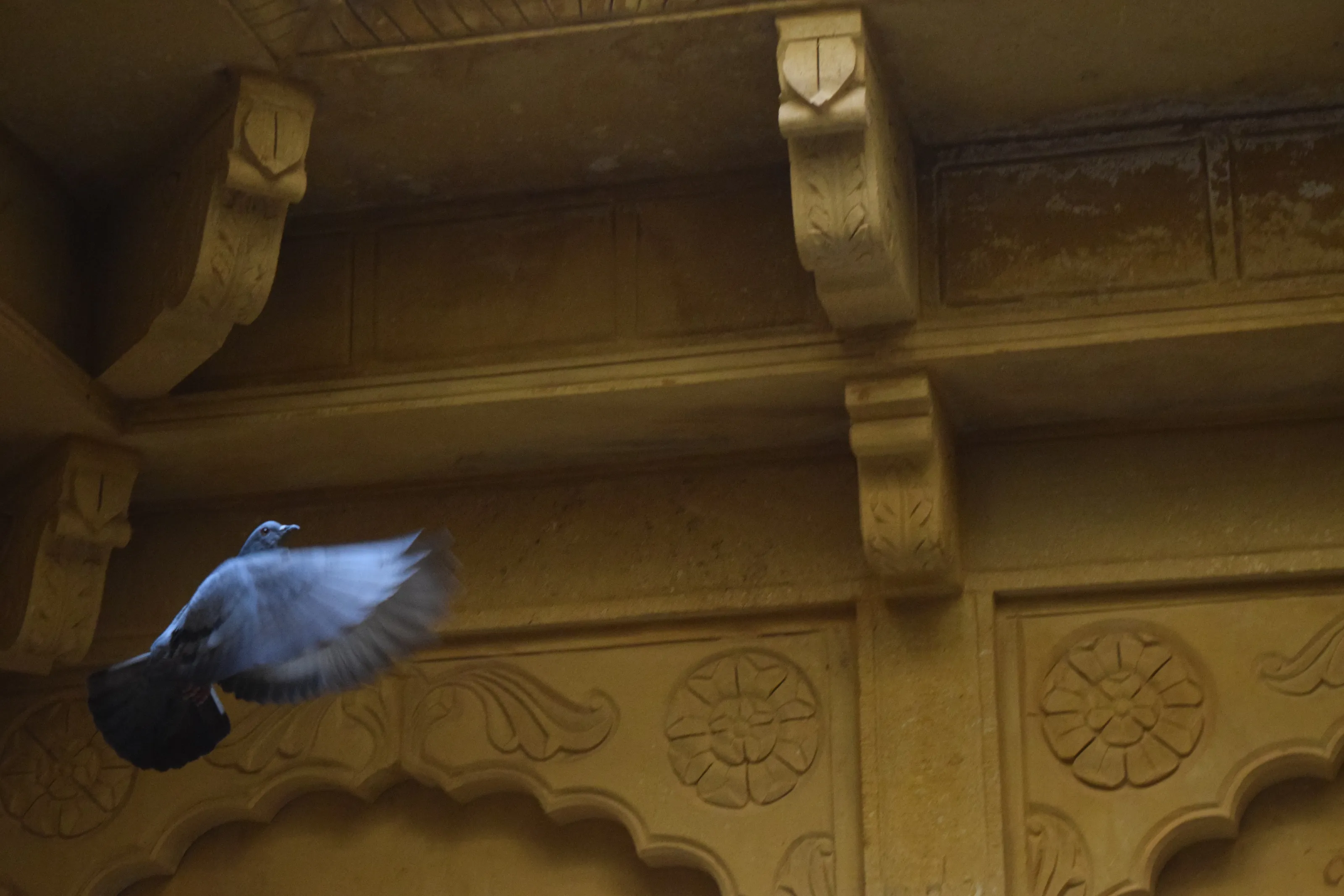 Banner image