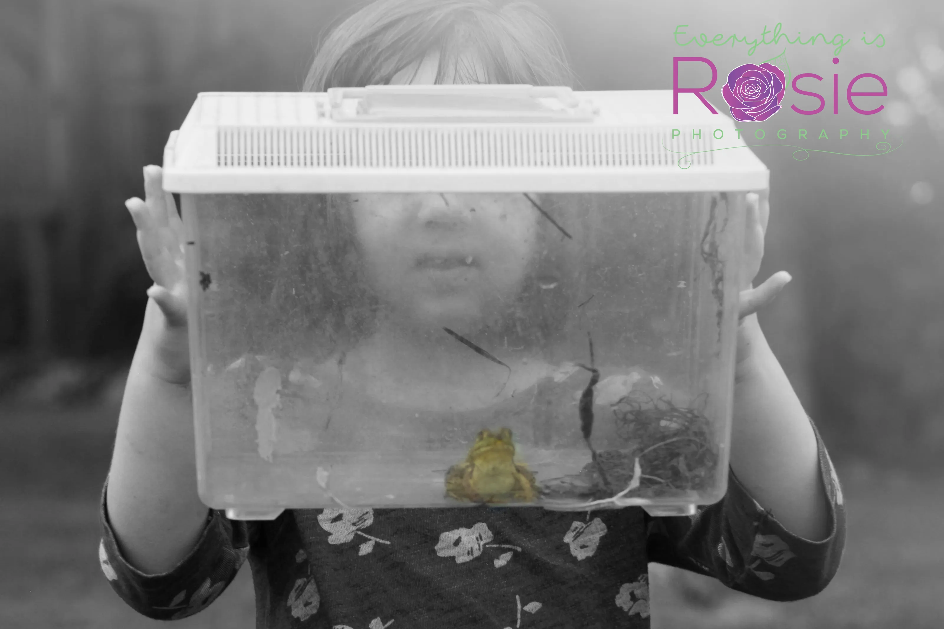 Frog Catching