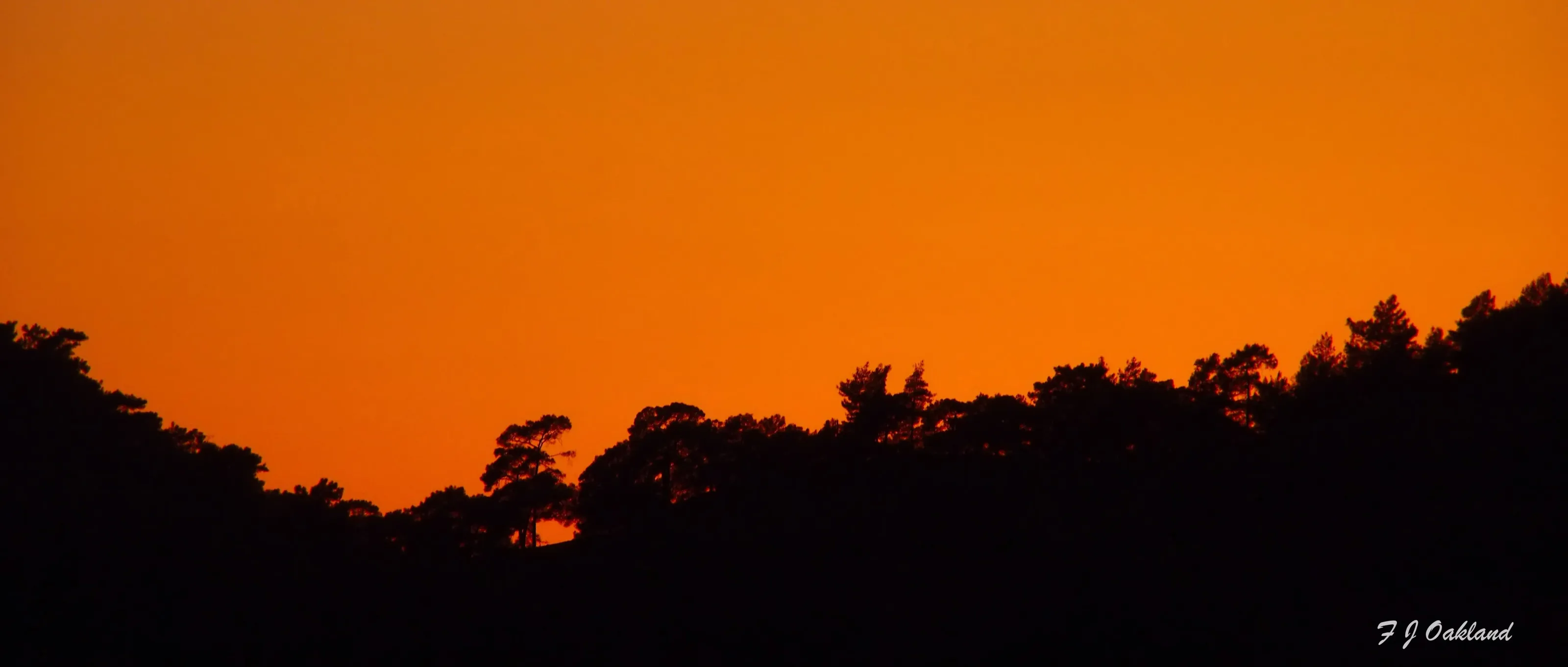 Orange Glow