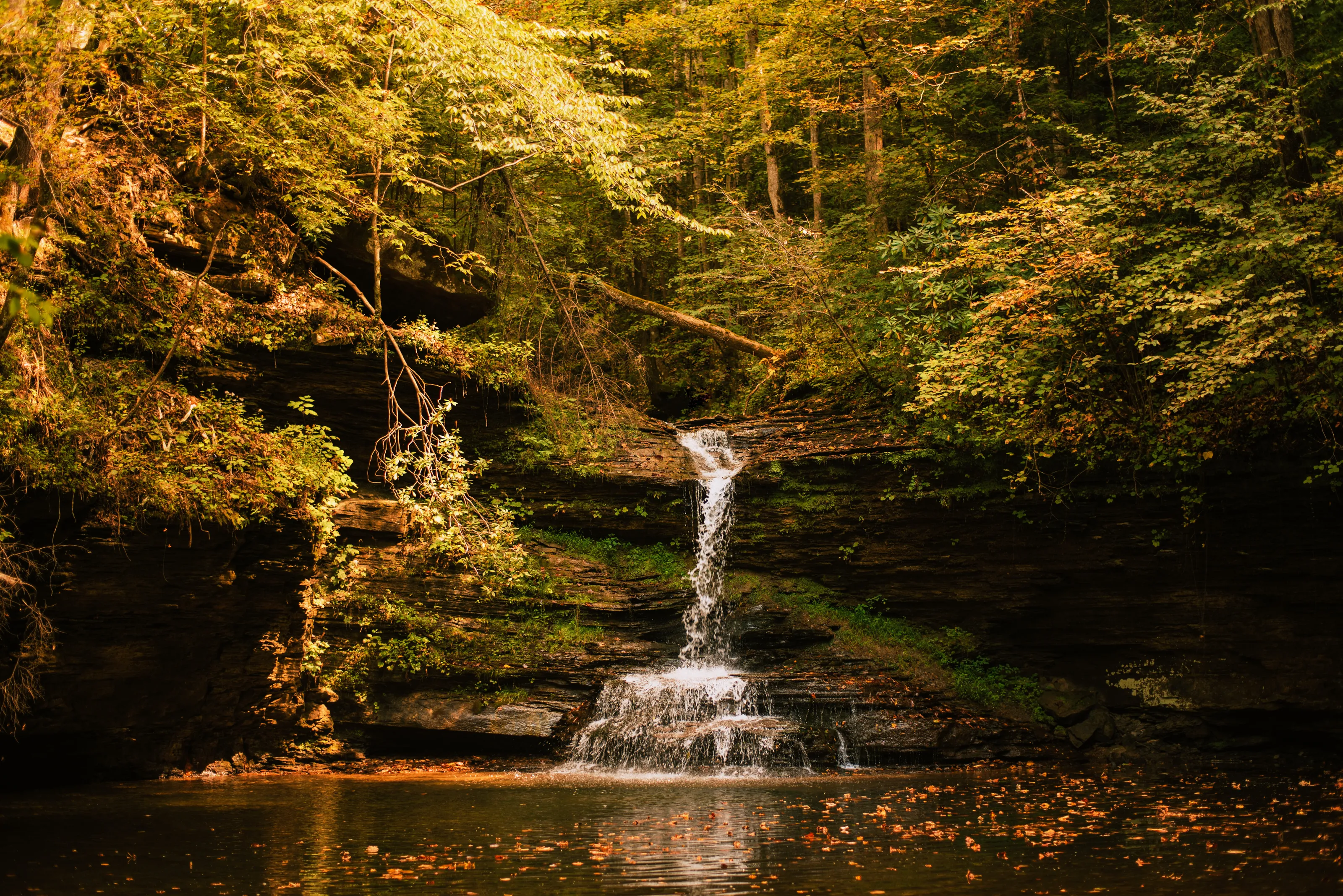 Greasy Creek Falls | KY