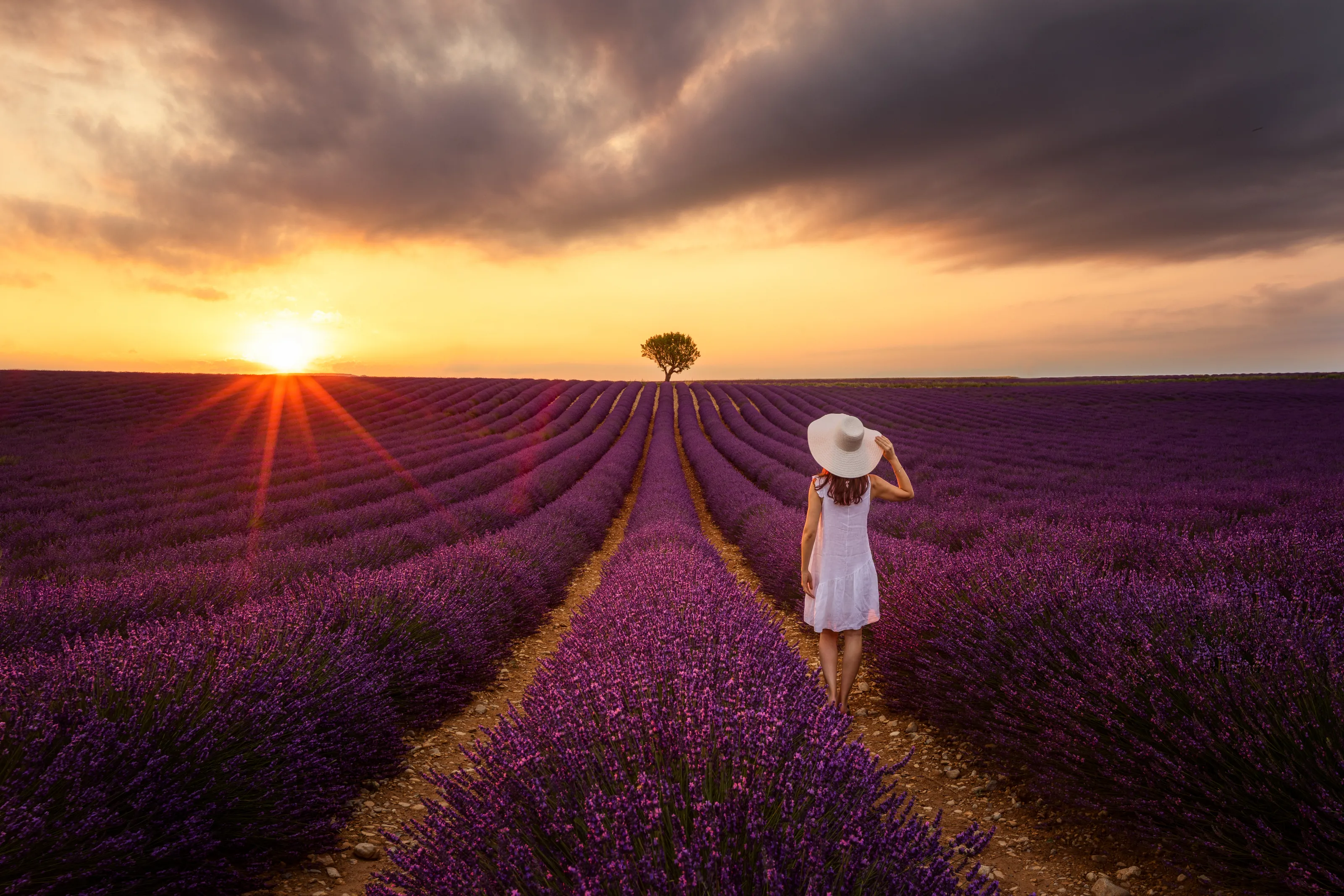 FIELD OF DREAMS