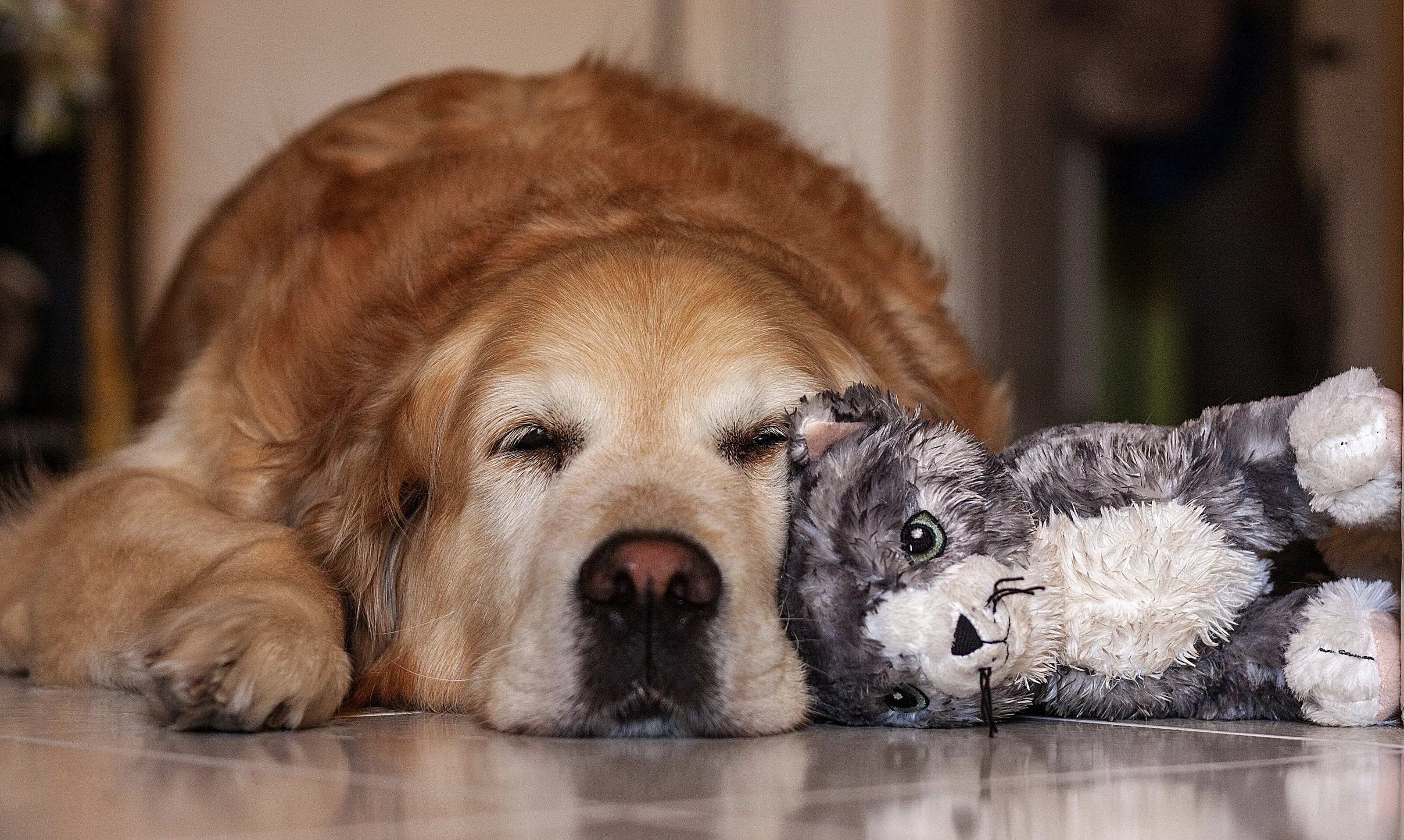 The eternal friendship