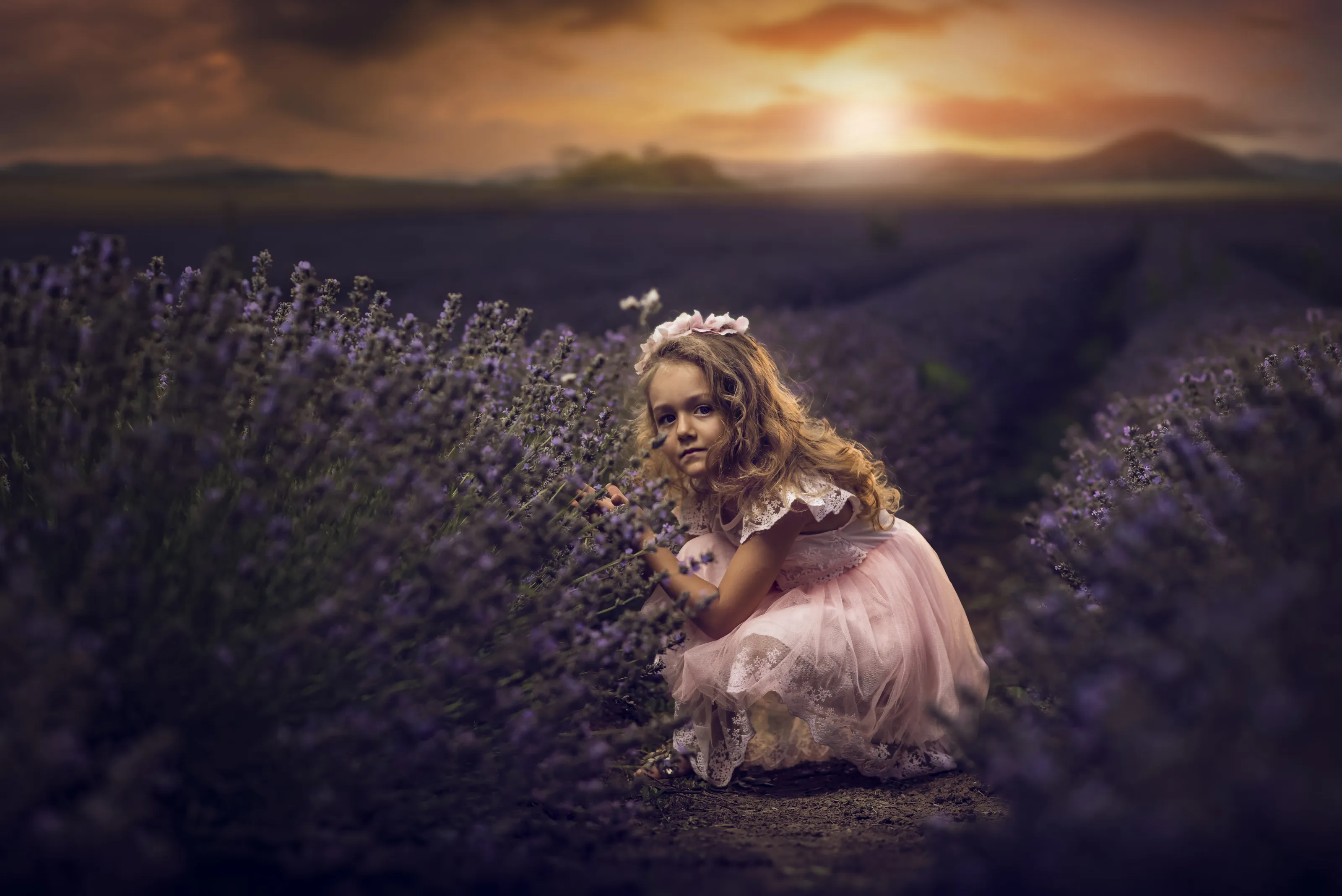 lavender child dreams