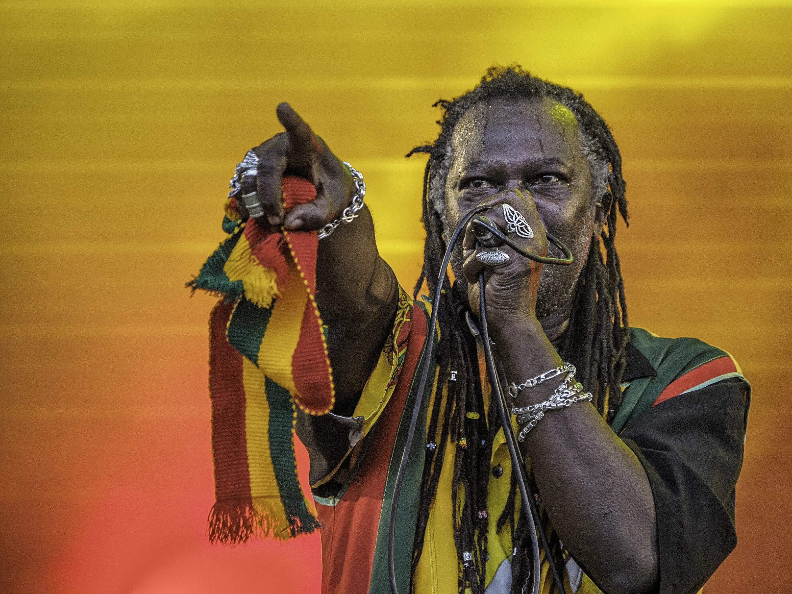 Levi Roots